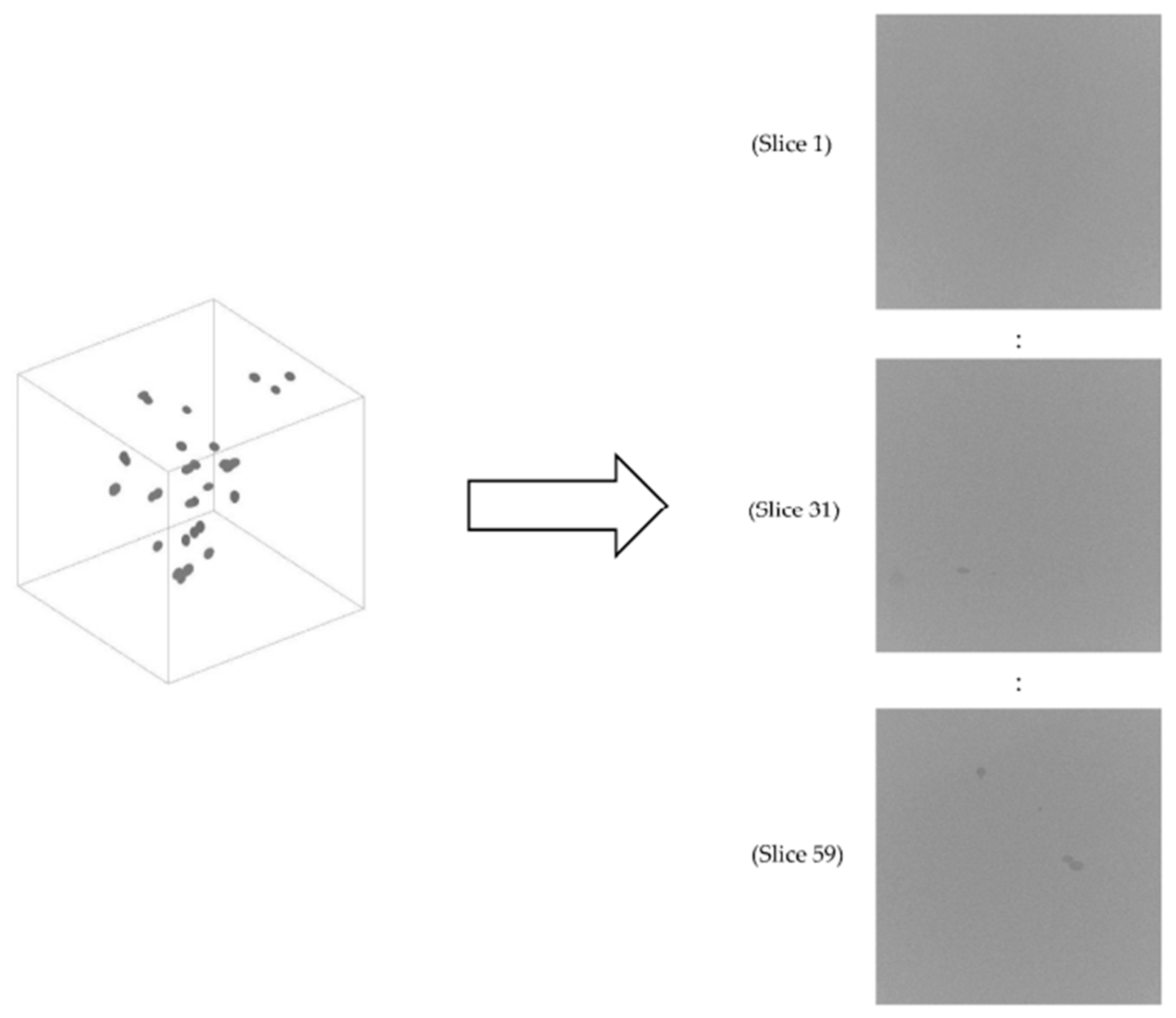 Applsci 13 02536 g004