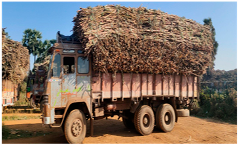 Applsci 13 02549 i002