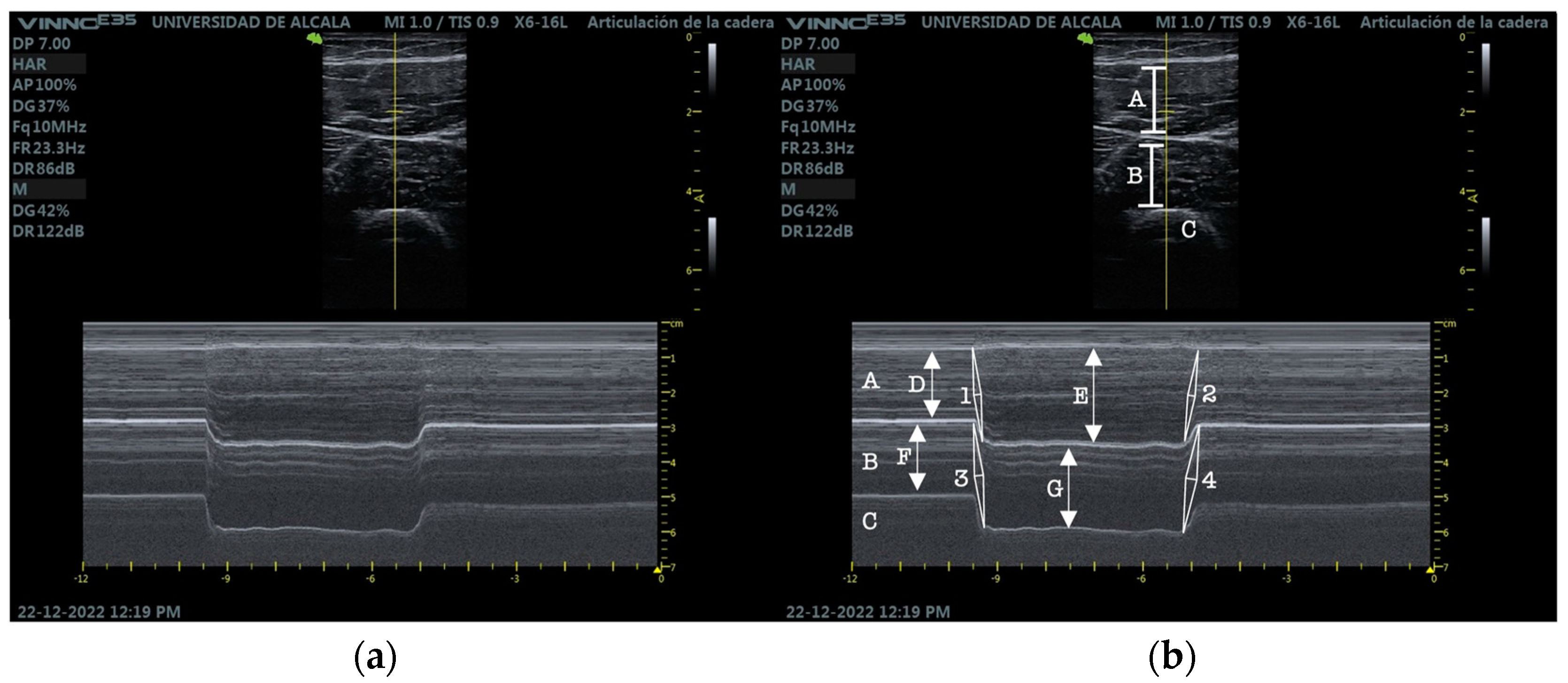 Applsci 13 02589 g002 Applsci 13 02589 g002