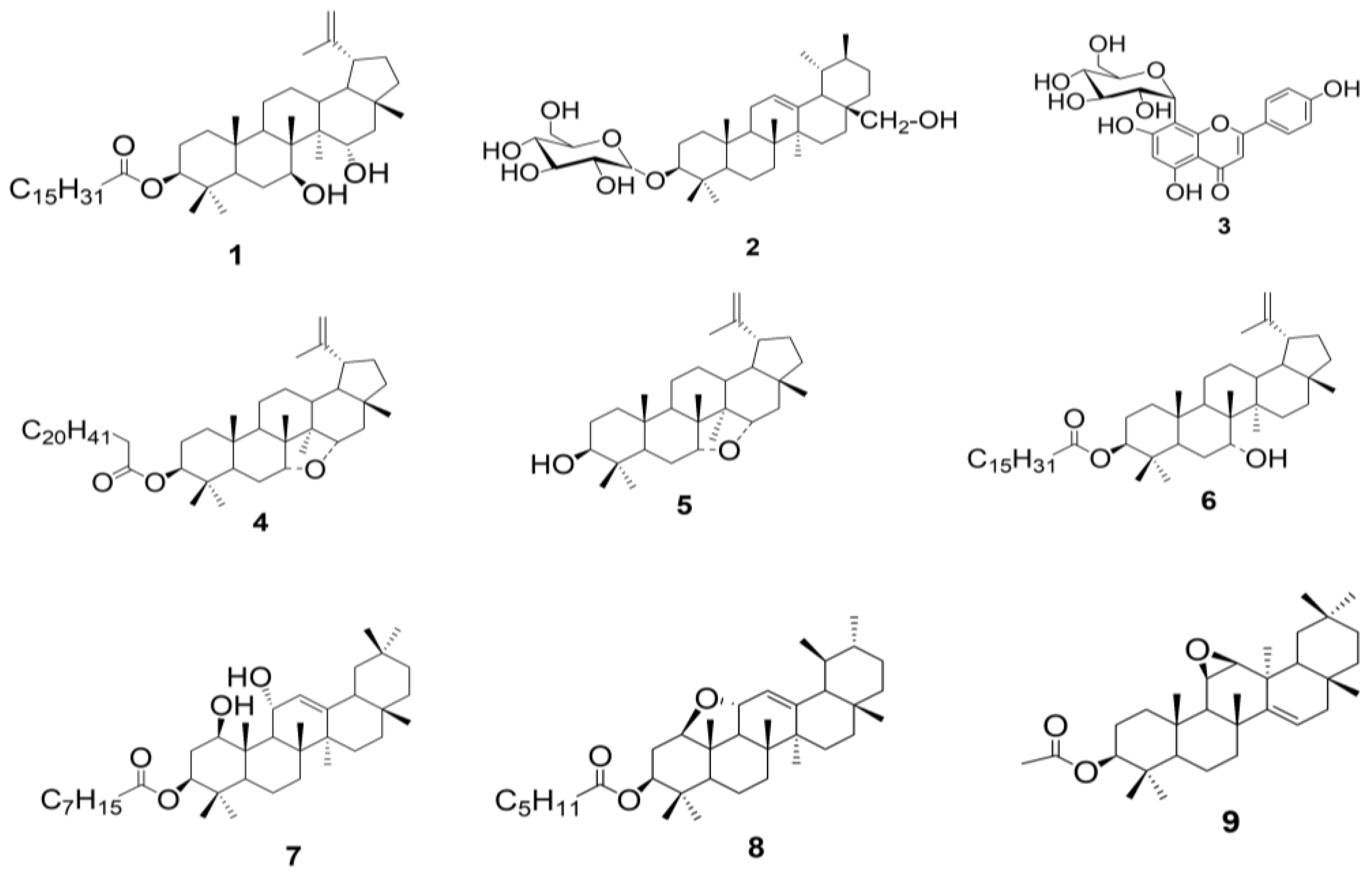 Applsci 13 02606 g001