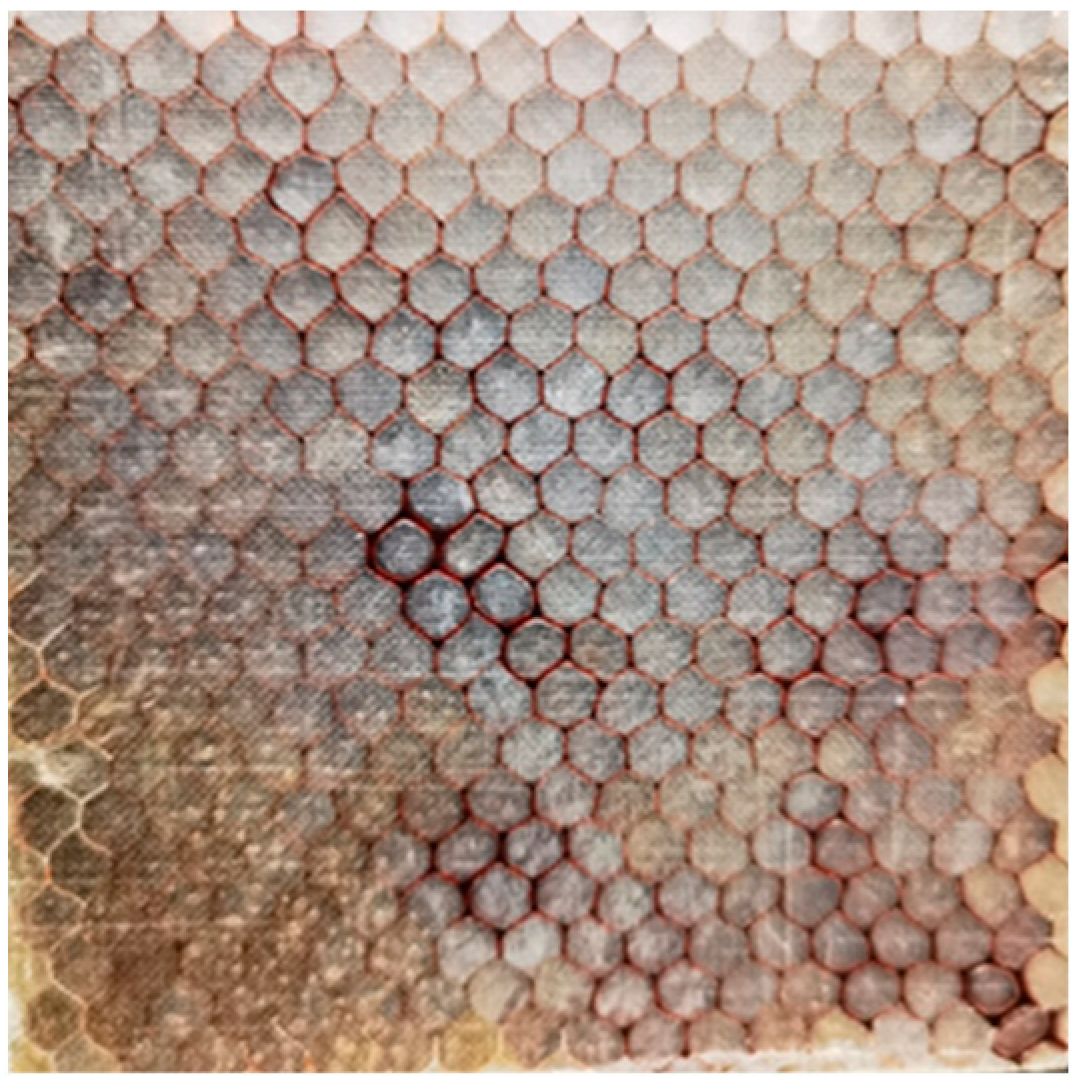 Applsci 13 02609 g001