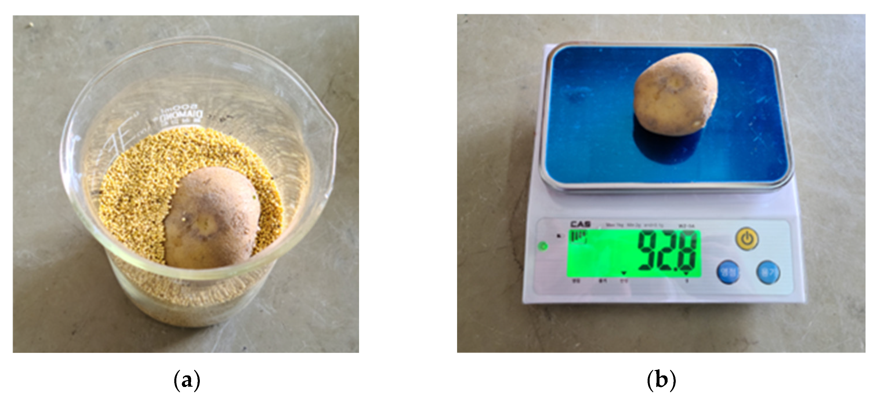 Applsci 13 02614 g006