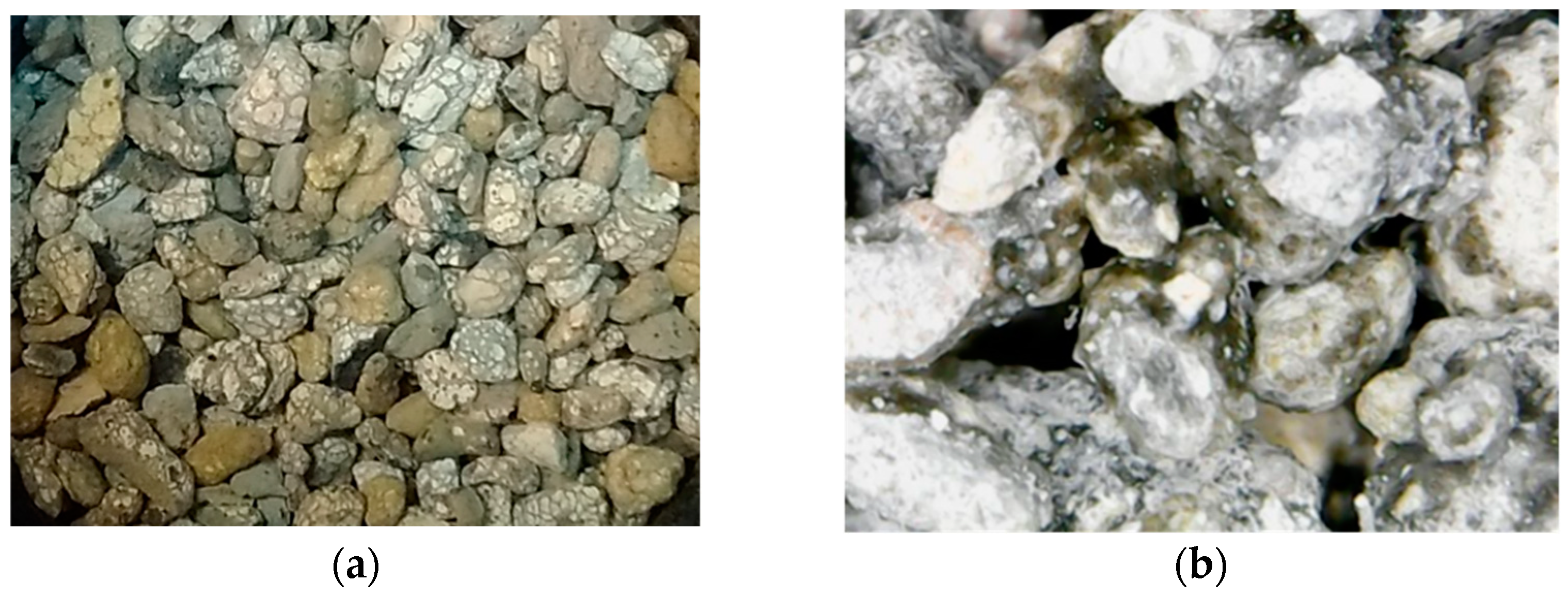 Applsci 13 02638 g001