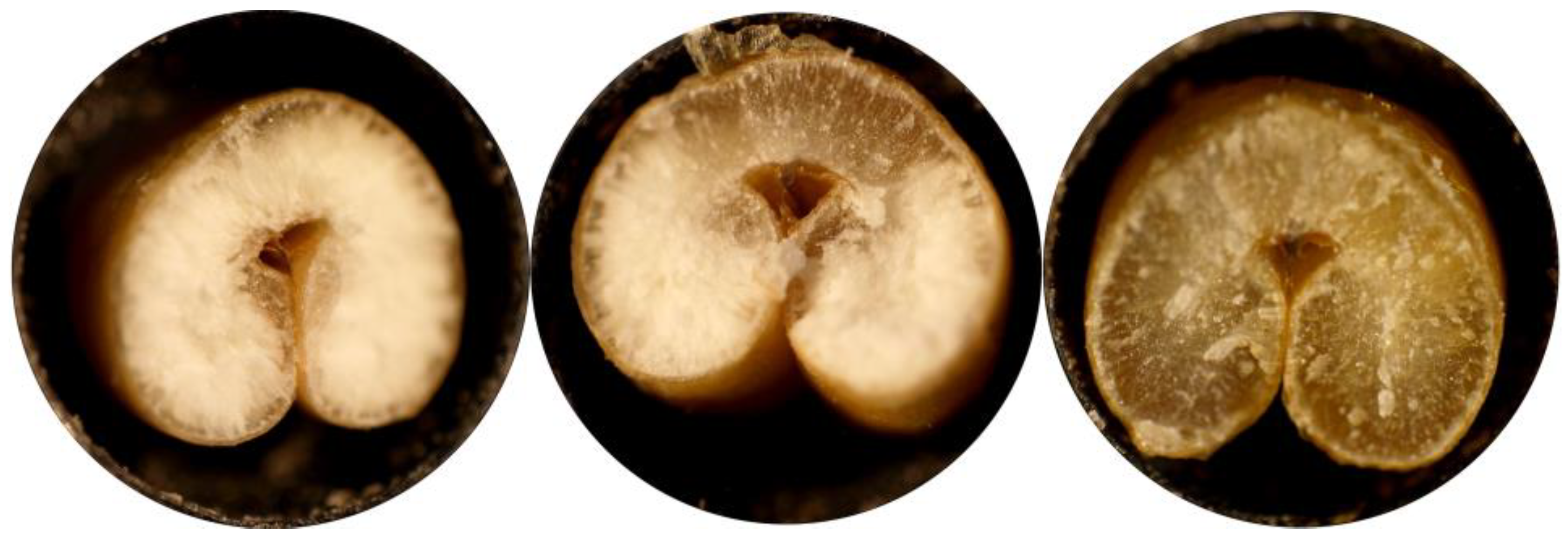 Applsci 13 02655 g001 Applsci 13 02655 g001