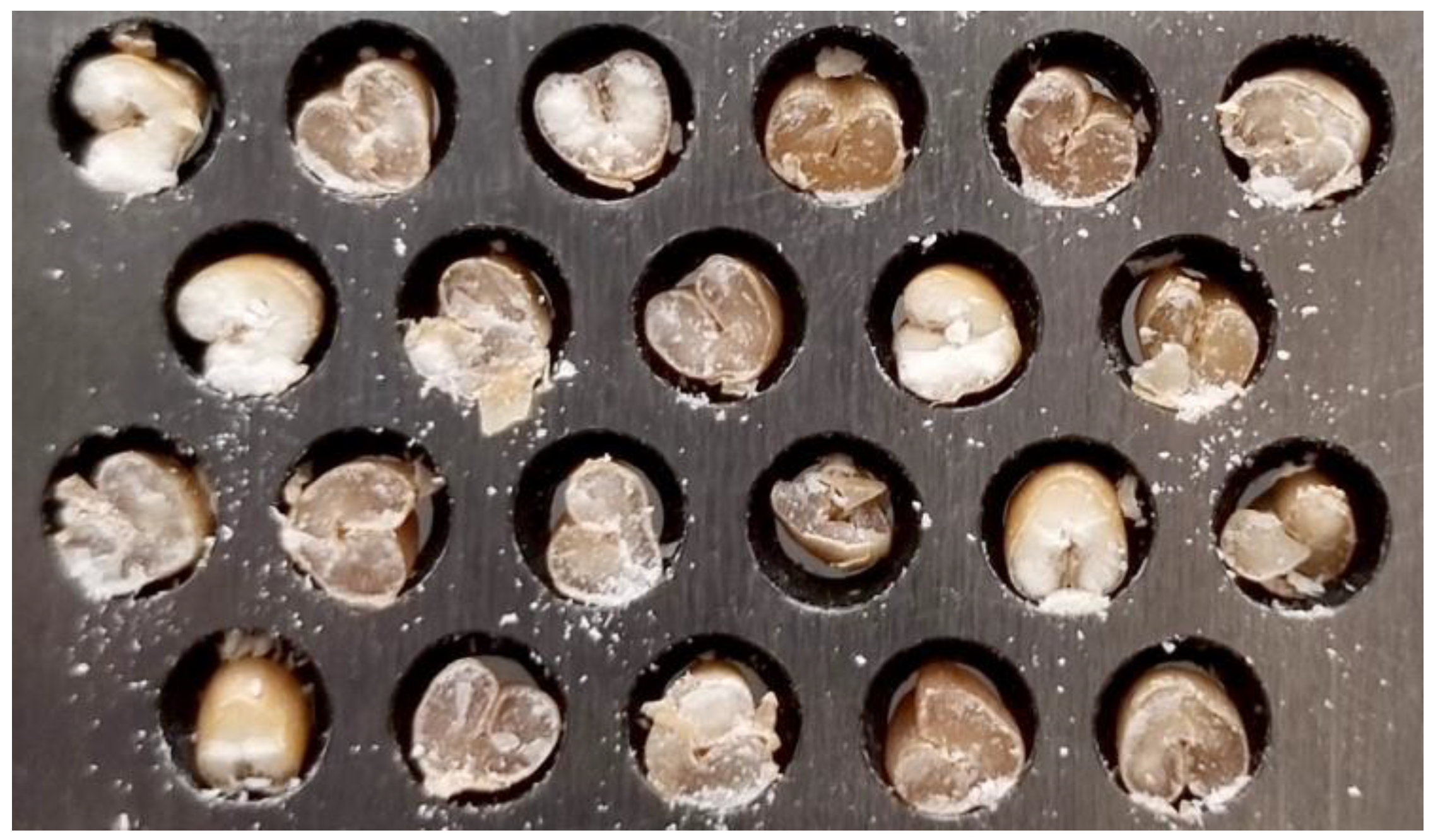 Applsci 13 02655 g003 Applsci 13 02655 g003