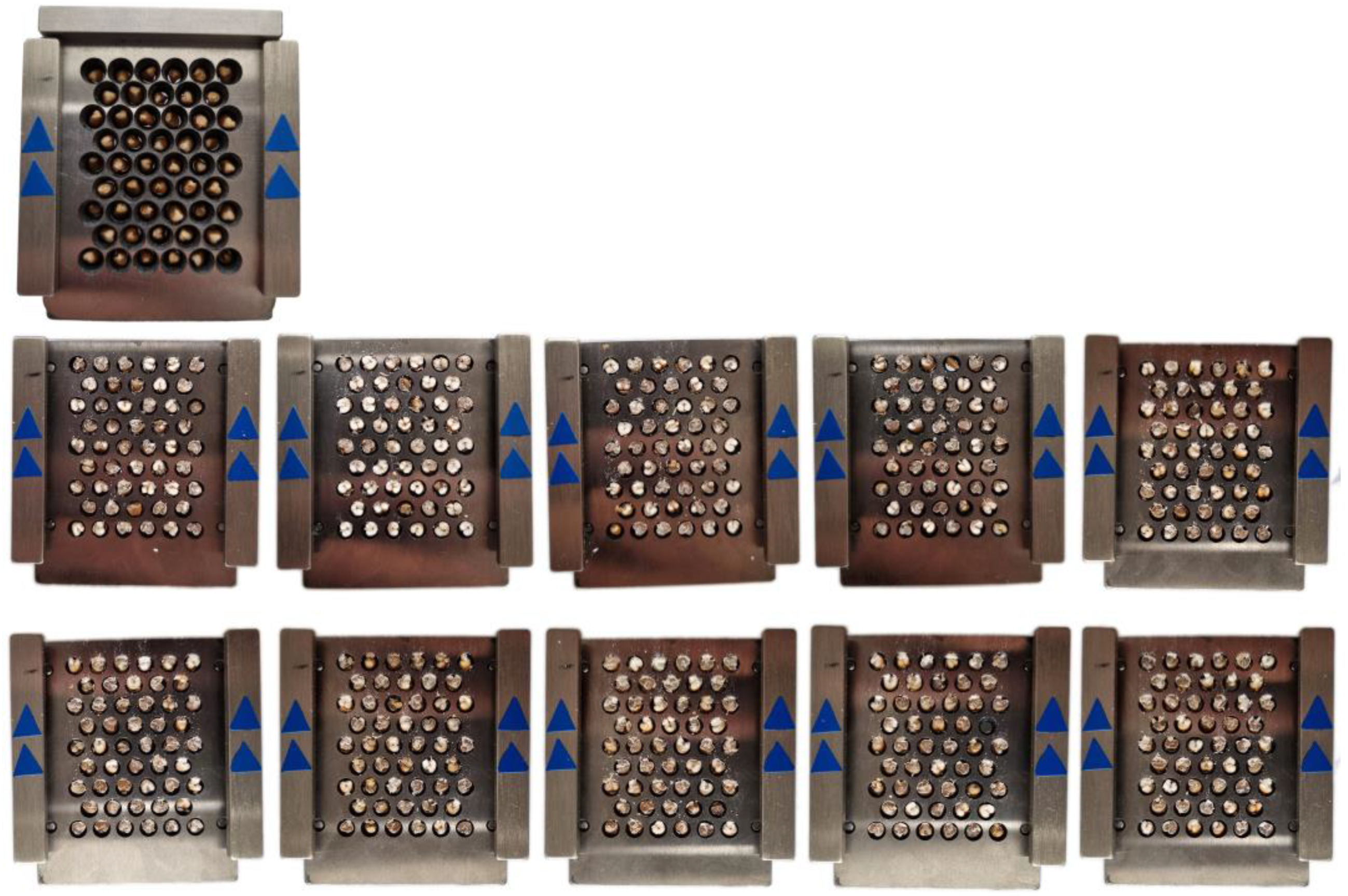 Applsci 13 02655 g012 Applsci 13 02655 g012