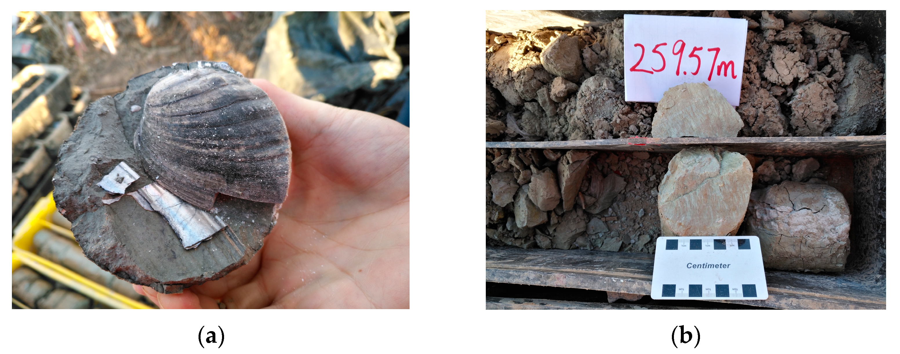 Applsci 13 02662 g003 Applsci 13 02662 g003