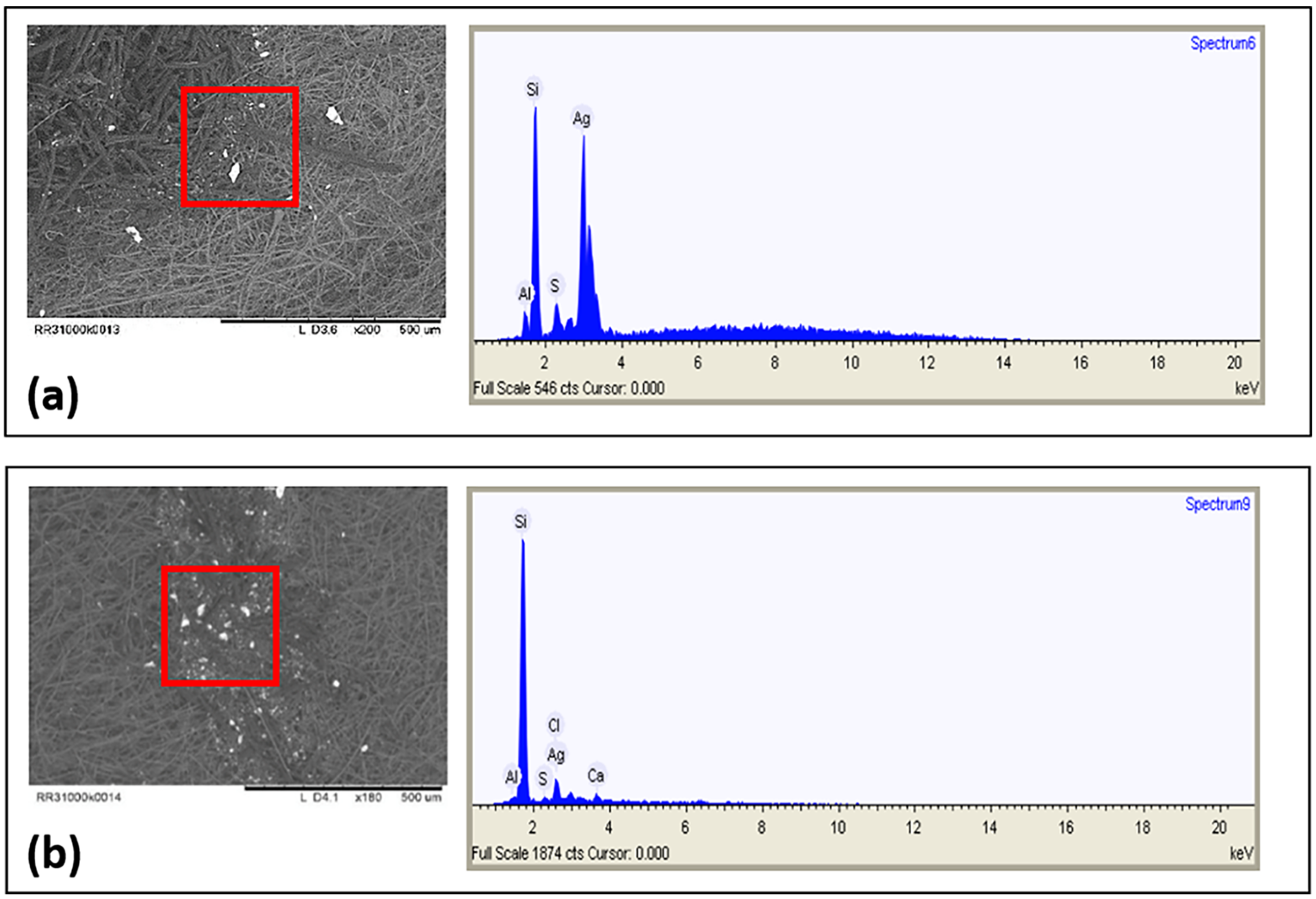 Applsci 13 02669 g006