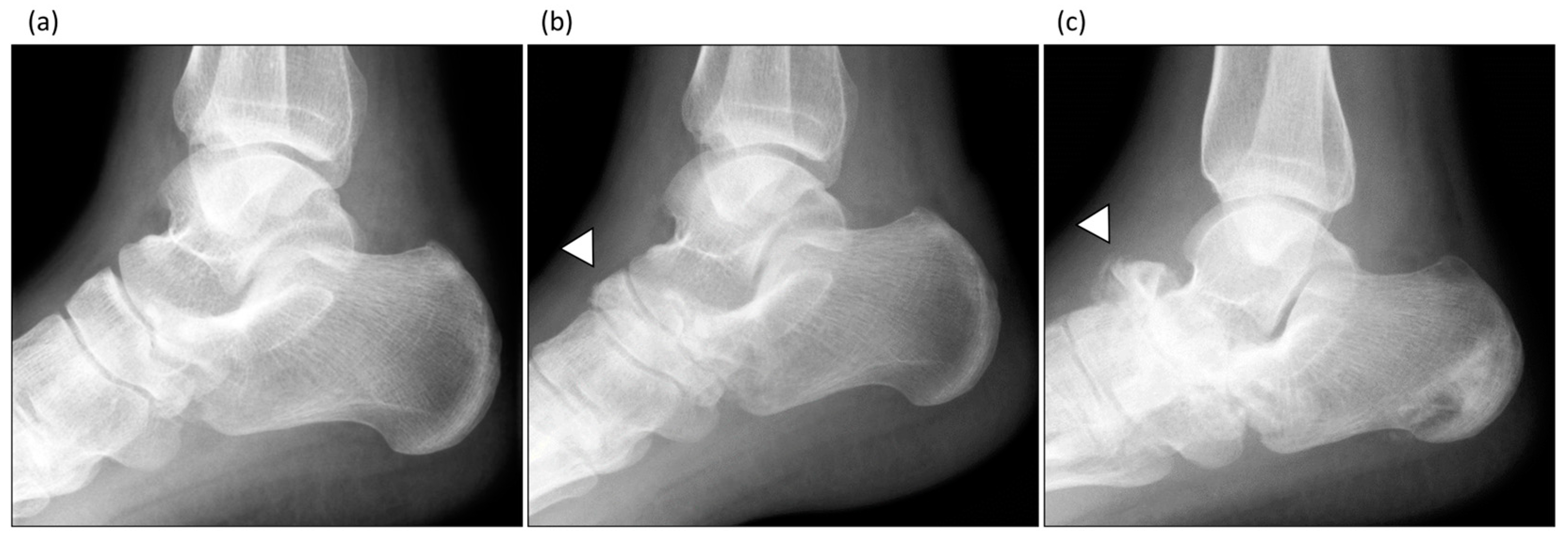 Applsci 13 02670 g001 Applsci 13 02670 g001