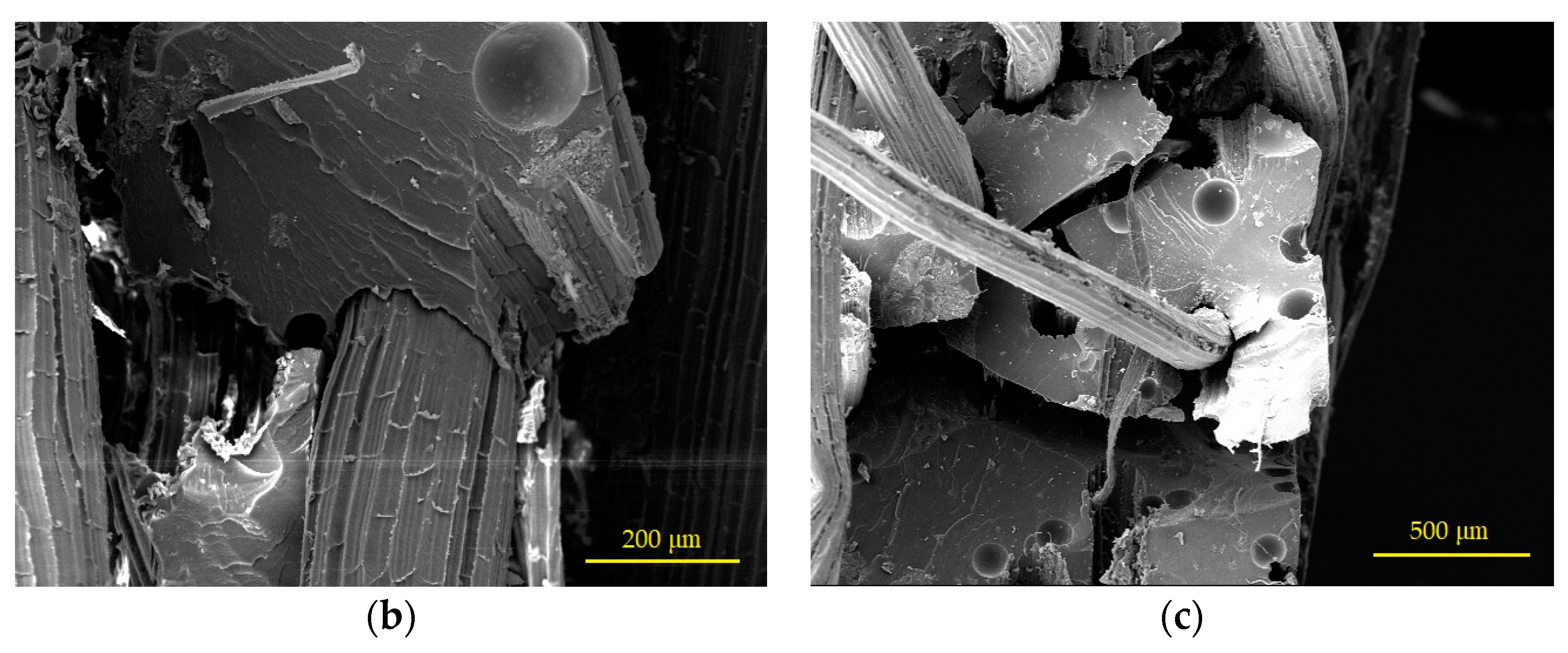 Applsci 13 02677 g008b