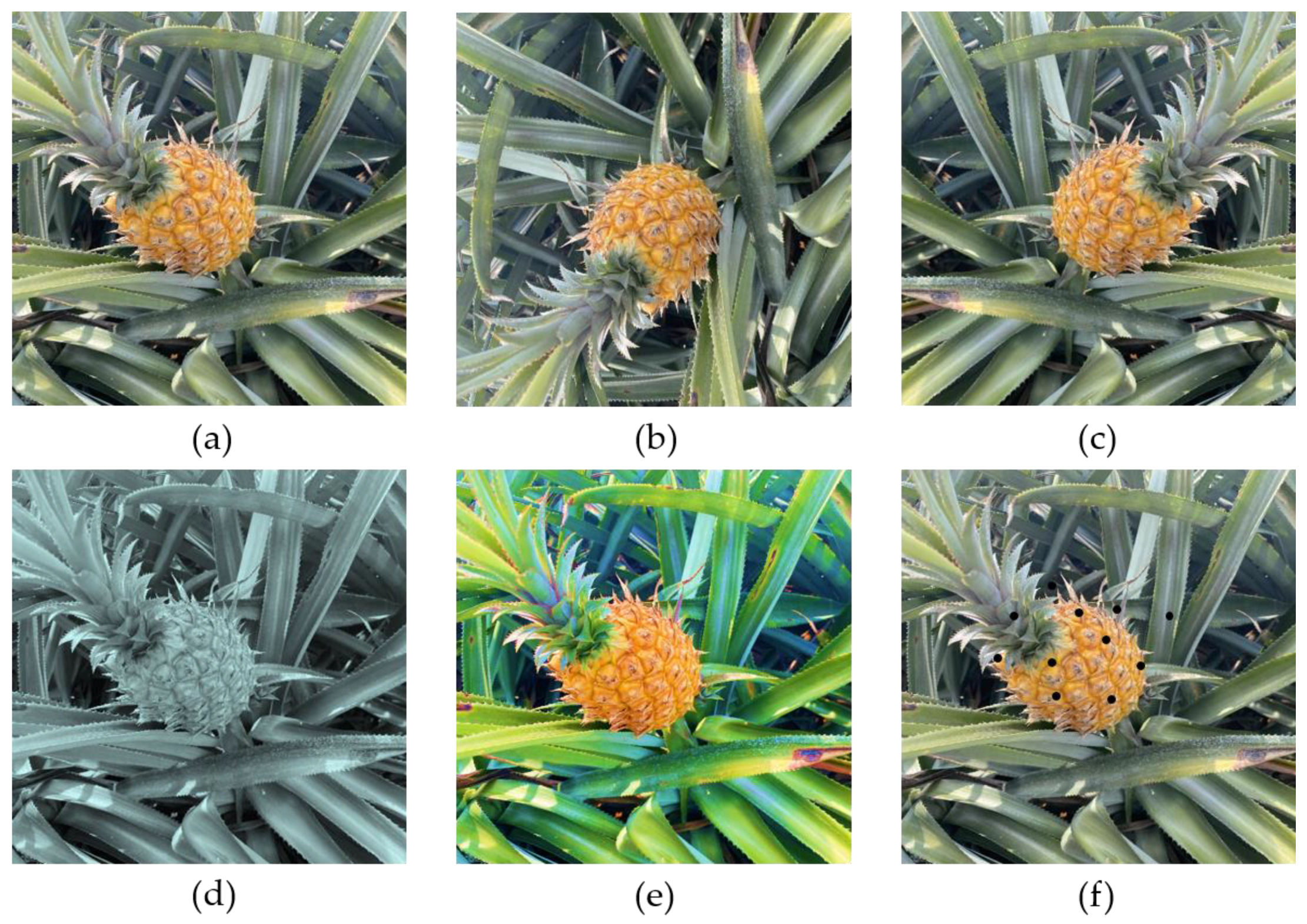 Applsci 13 02691 g003 Applsci 13 02691 g003