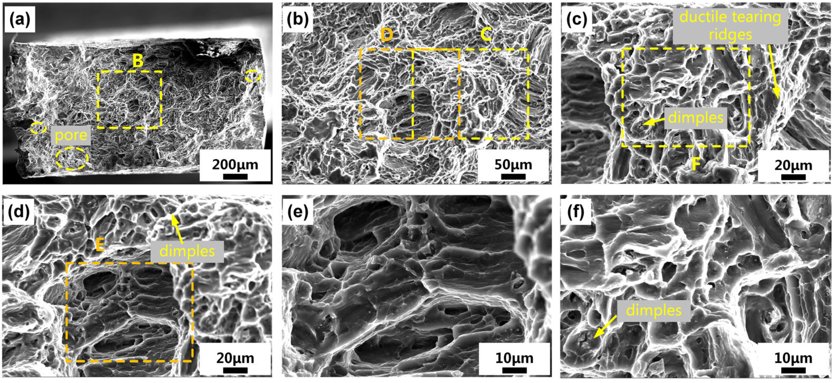 Applsci 13 02720 g010 Applsci 13 02720 g010