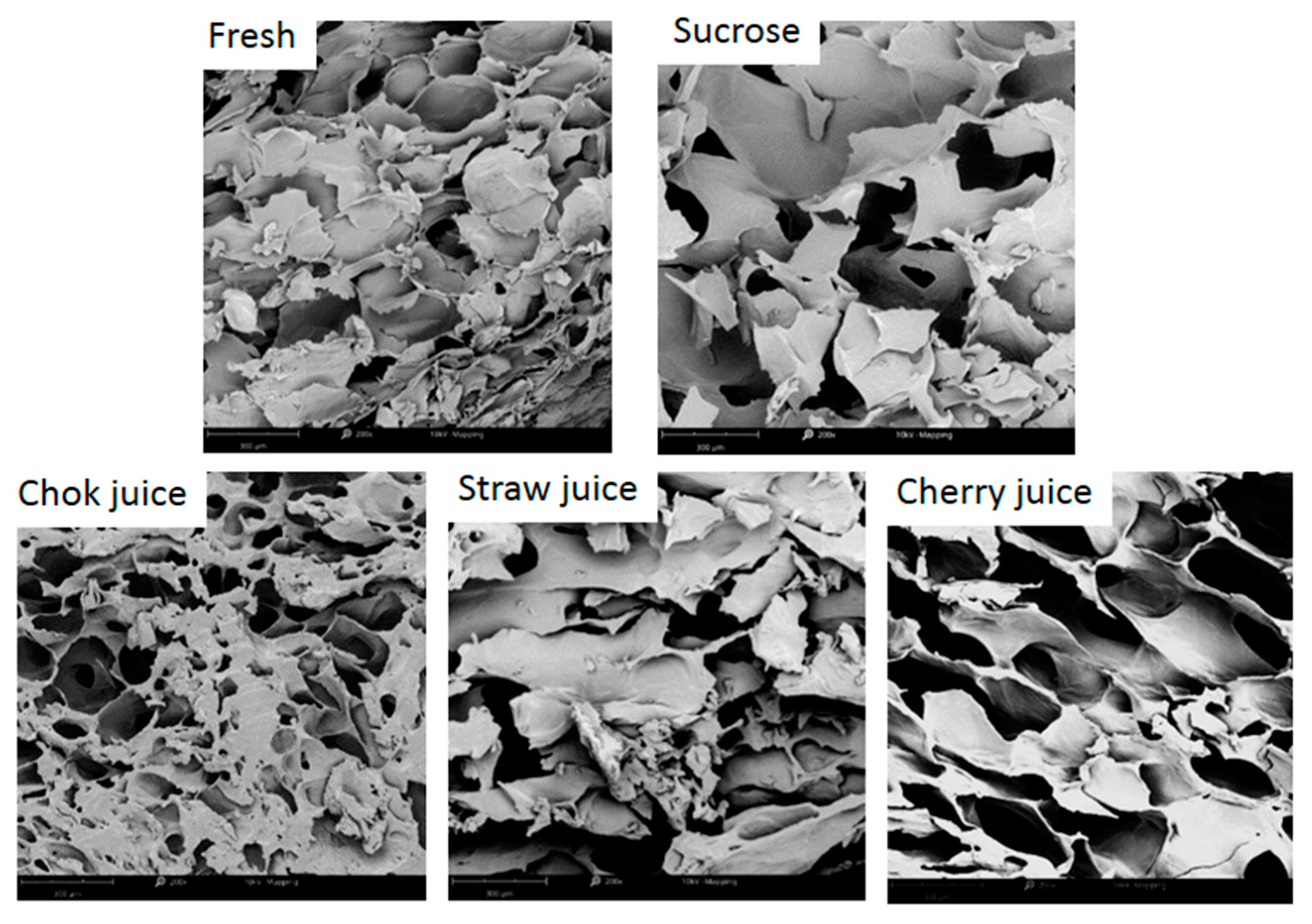 Applsci 13 02728 g004 Applsci 13 02728 g004