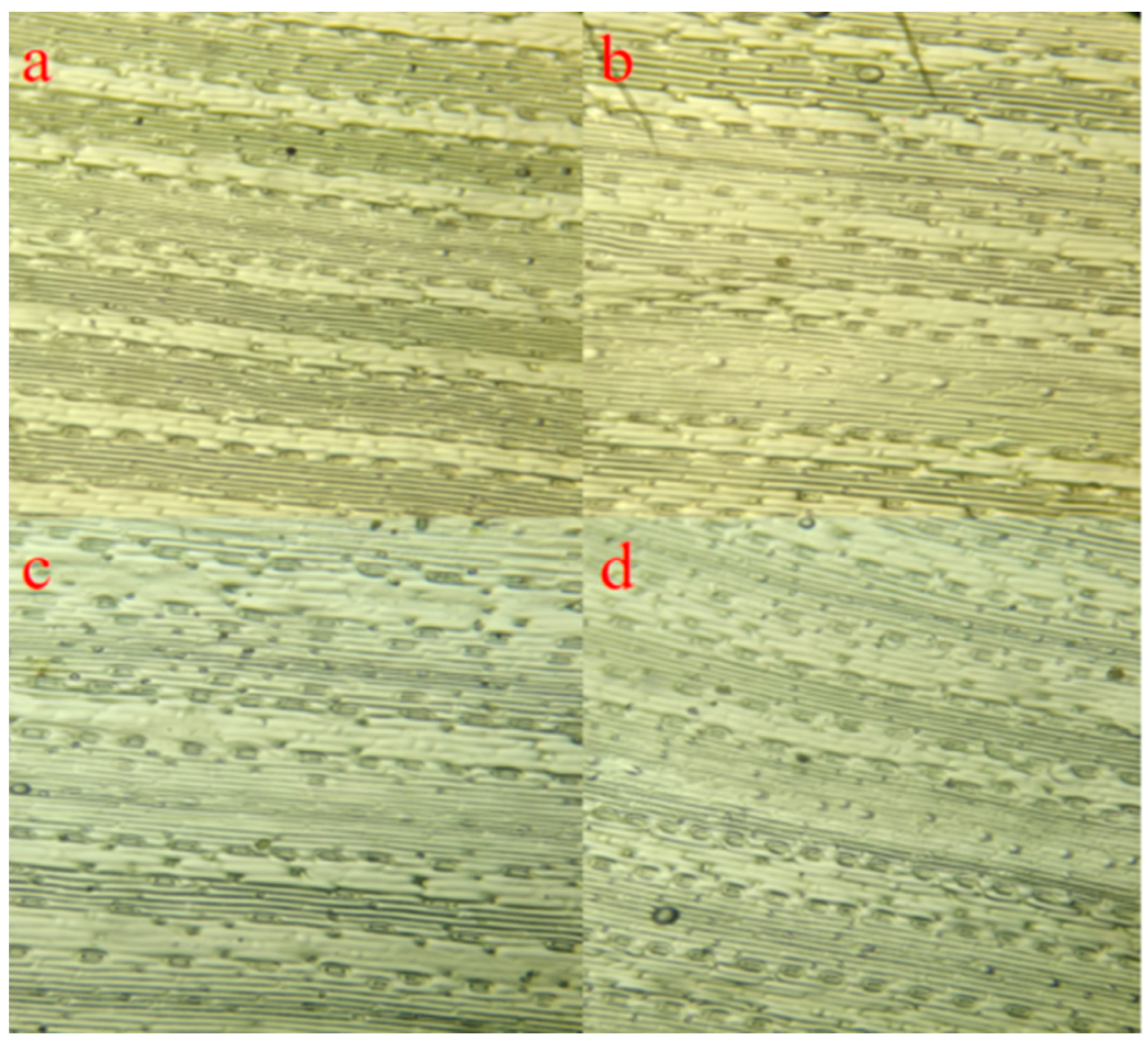 Applsci 13 02759 g001