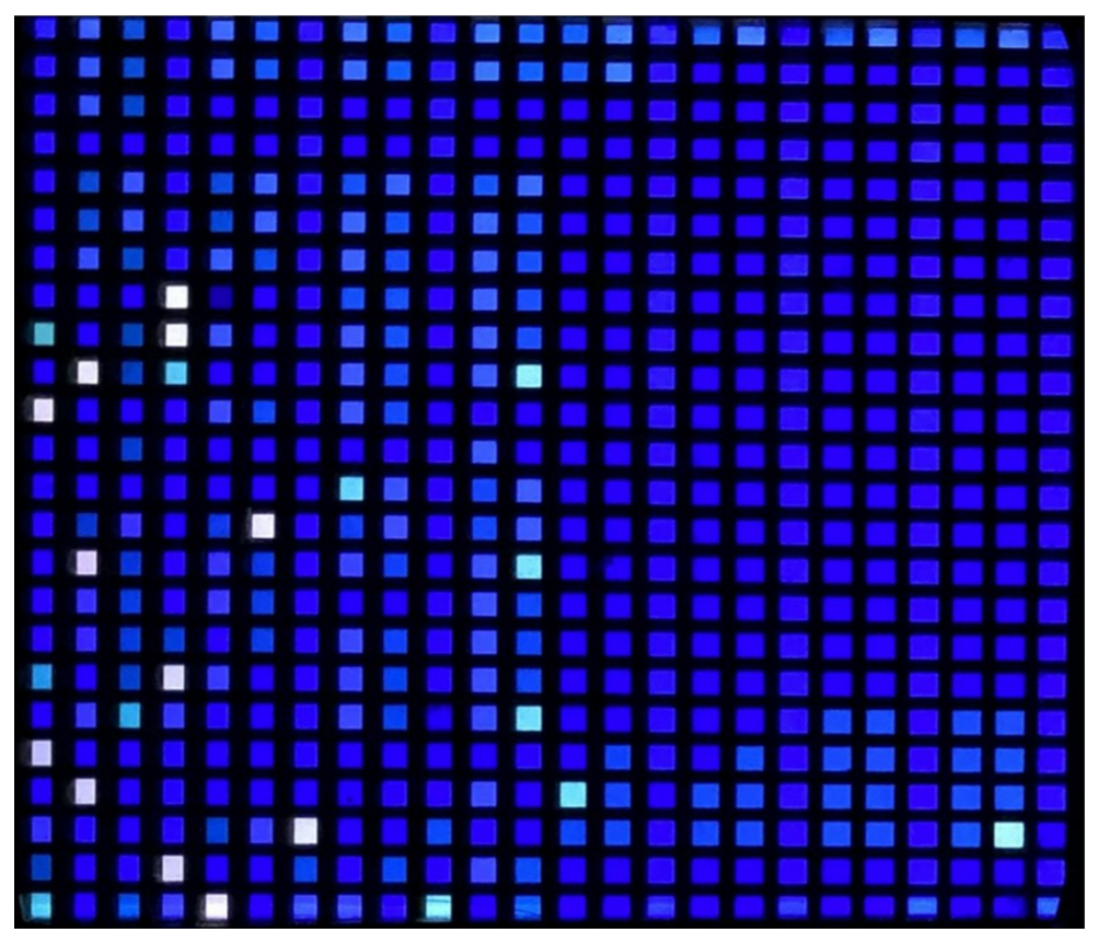 Applsci 13 02800 g002 Applsci 13 02800 g002