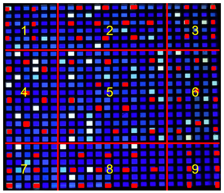 Applsci 13 02800 g010 Applsci 13 02800 g010