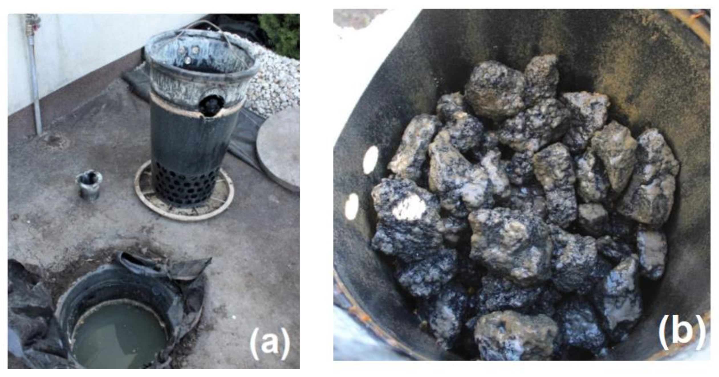 Applsci 13 02853 g002