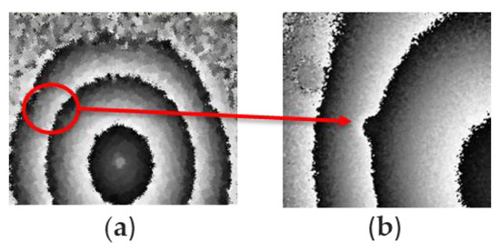 Allogram Vision Development of Simultaneous Dual-Resolution Digital Holography System