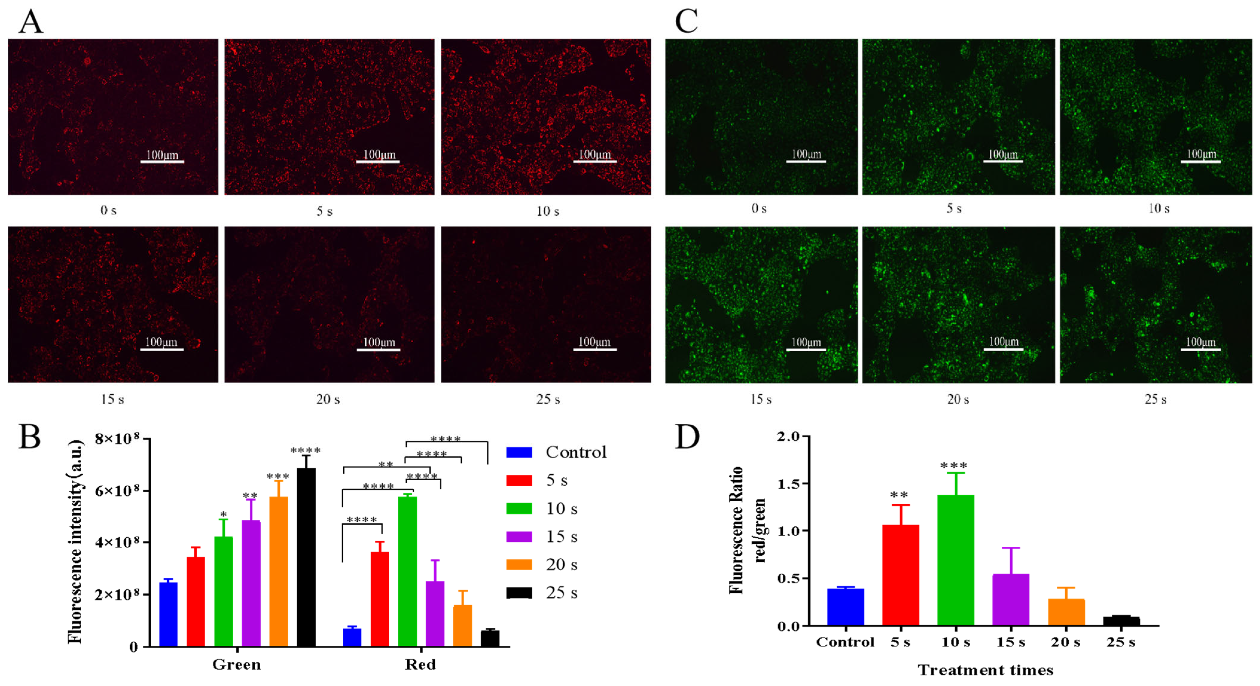 Applsci 13 02866 g004