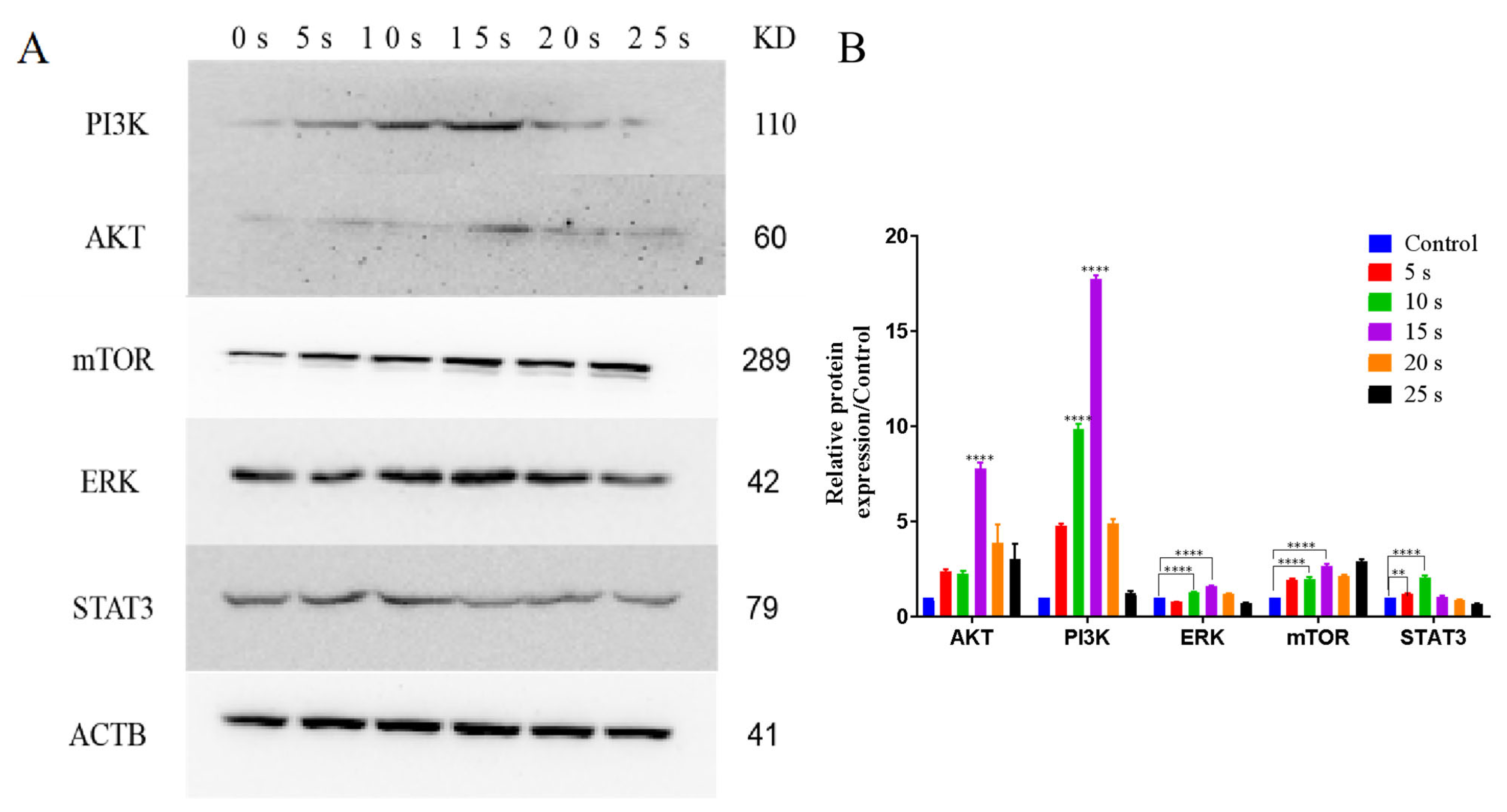 Applsci 13 02866 g007