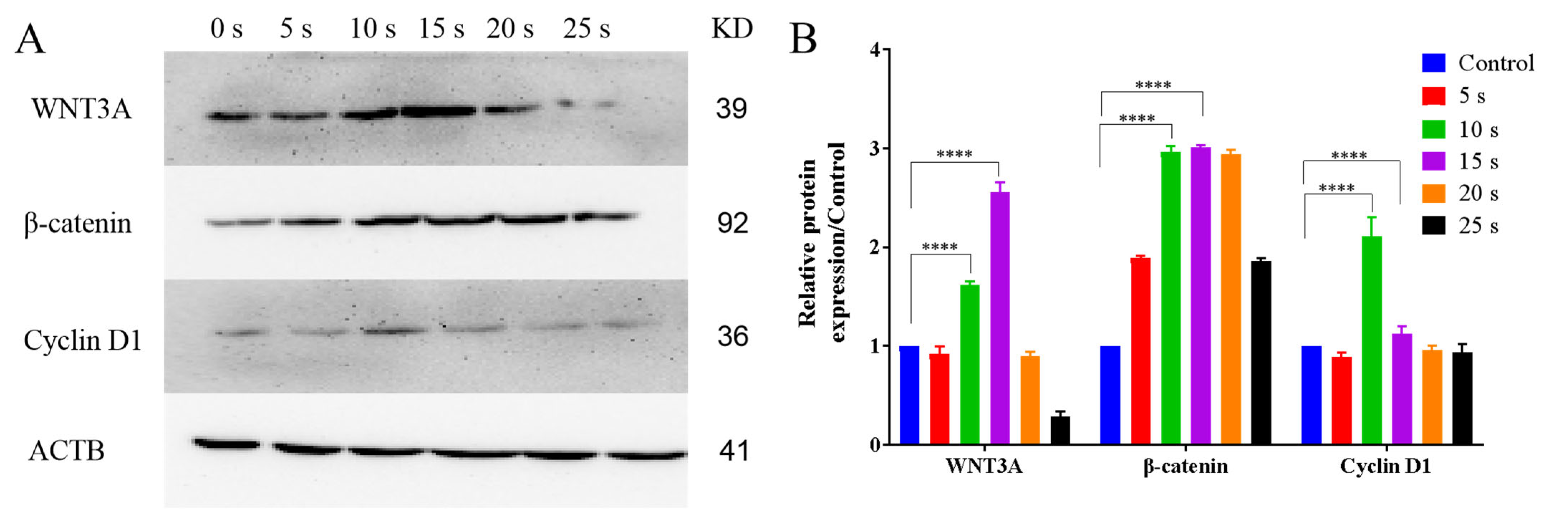 Applsci 13 02866 g008