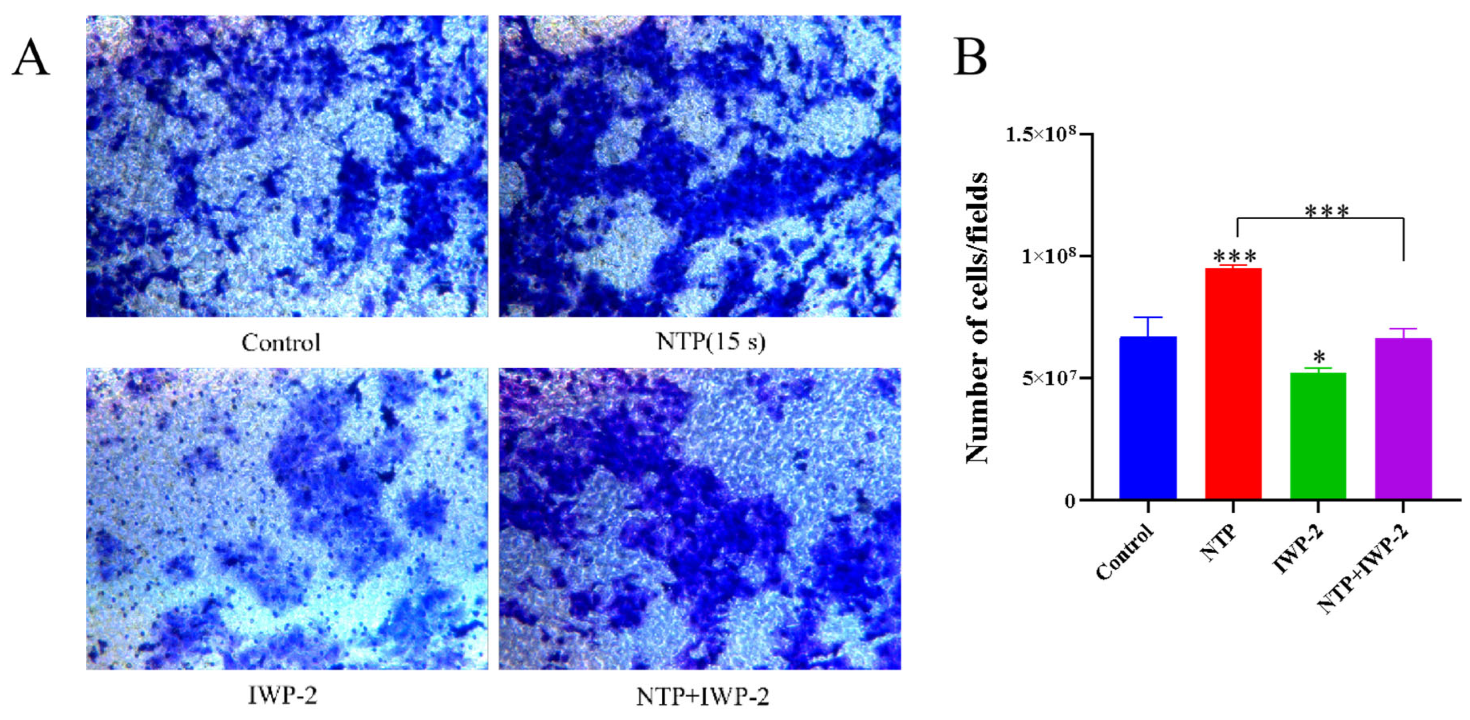 Applsci 13 02866 g009a