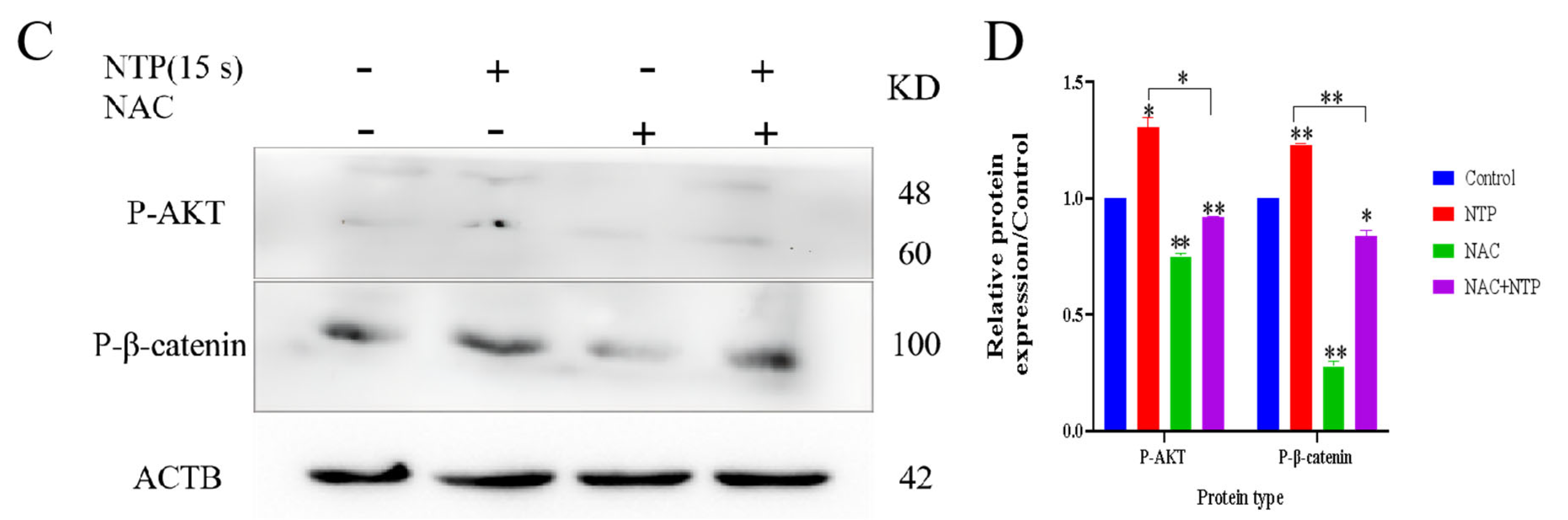 Applsci 13 02866 g009b