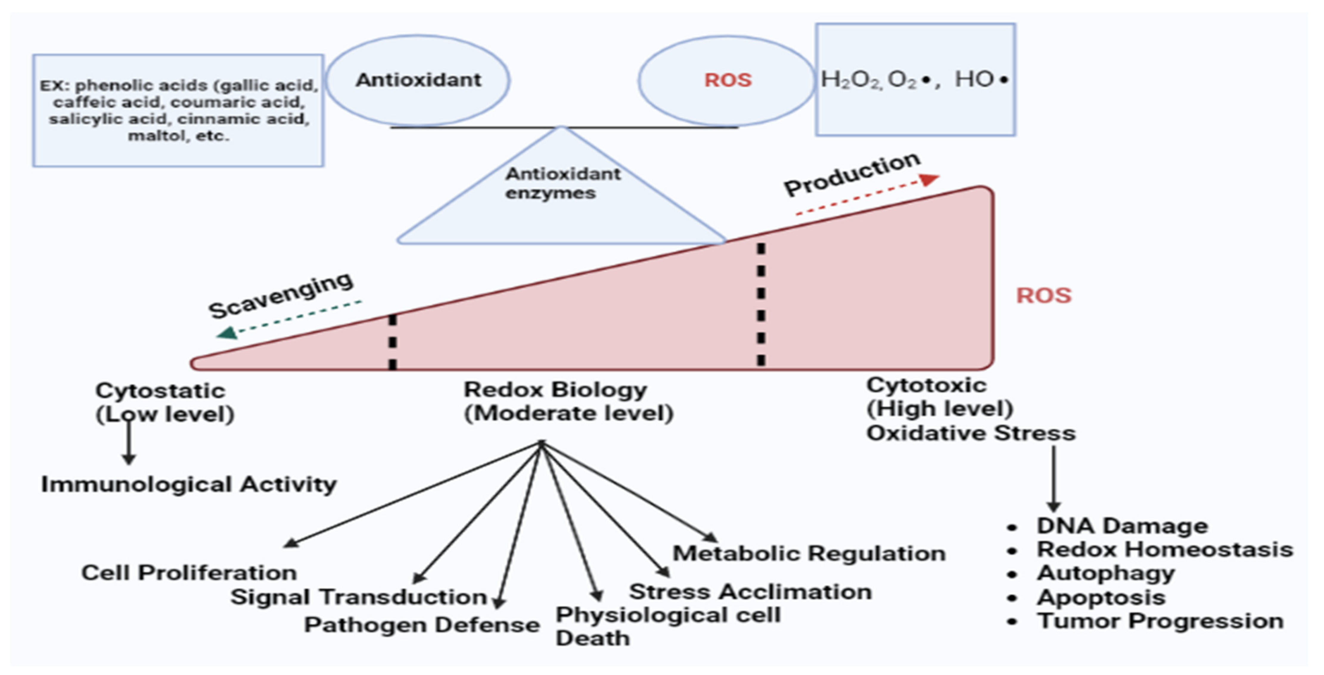 Applsci 13 02893 g001