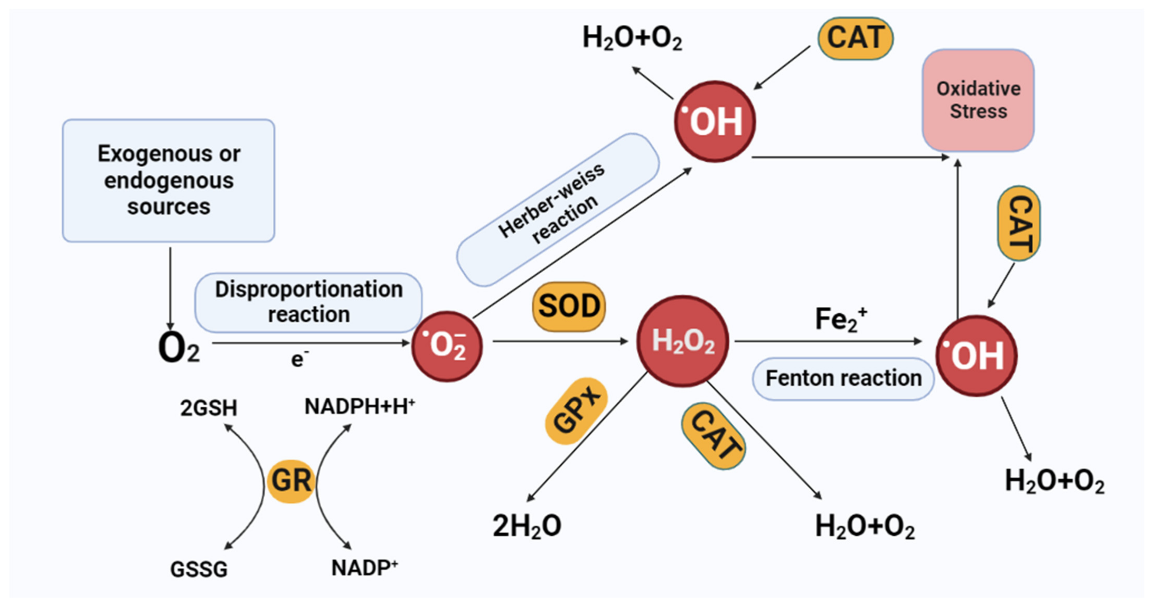 Applsci 13 02893 g002