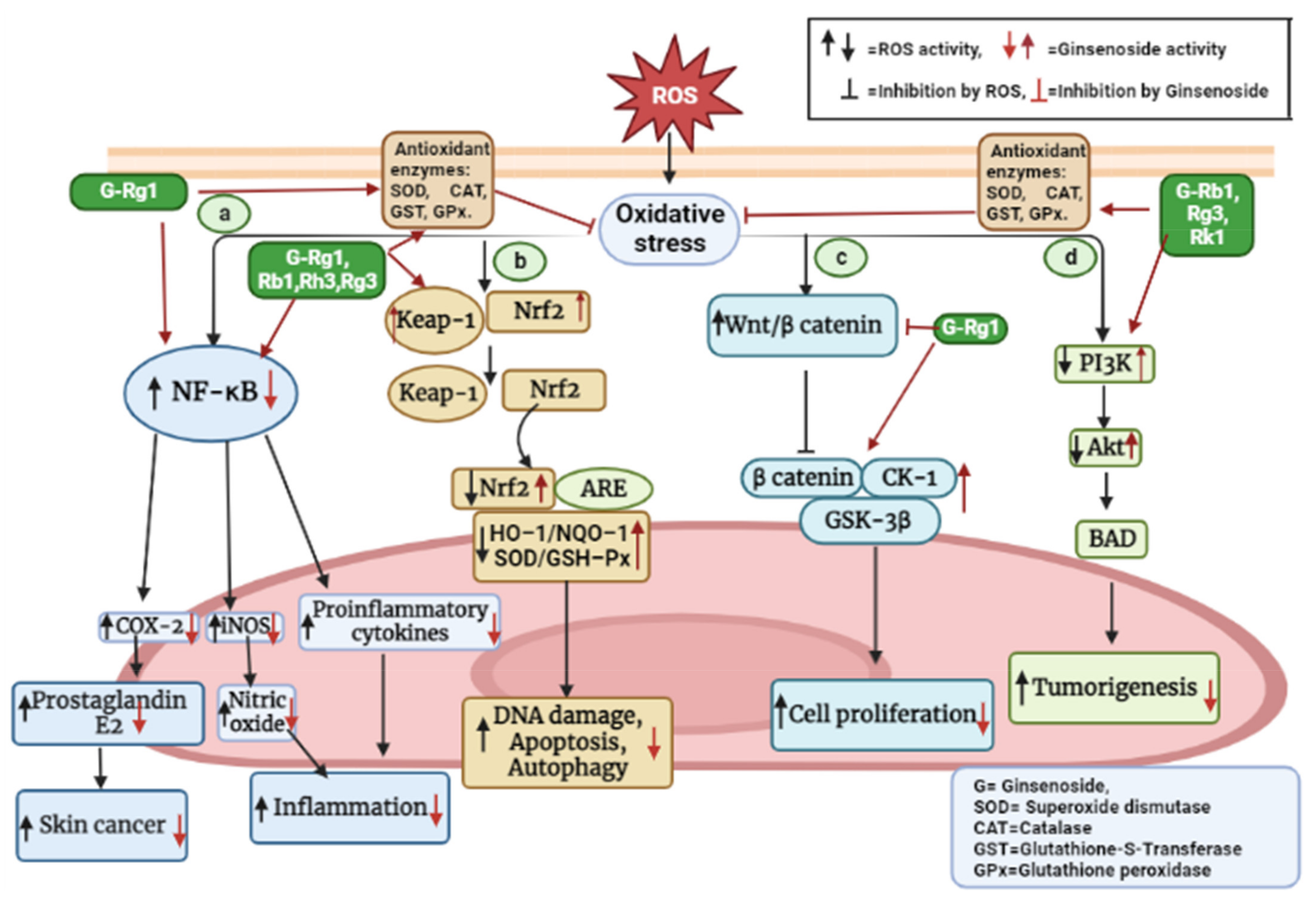 Applsci 13 02893 g003