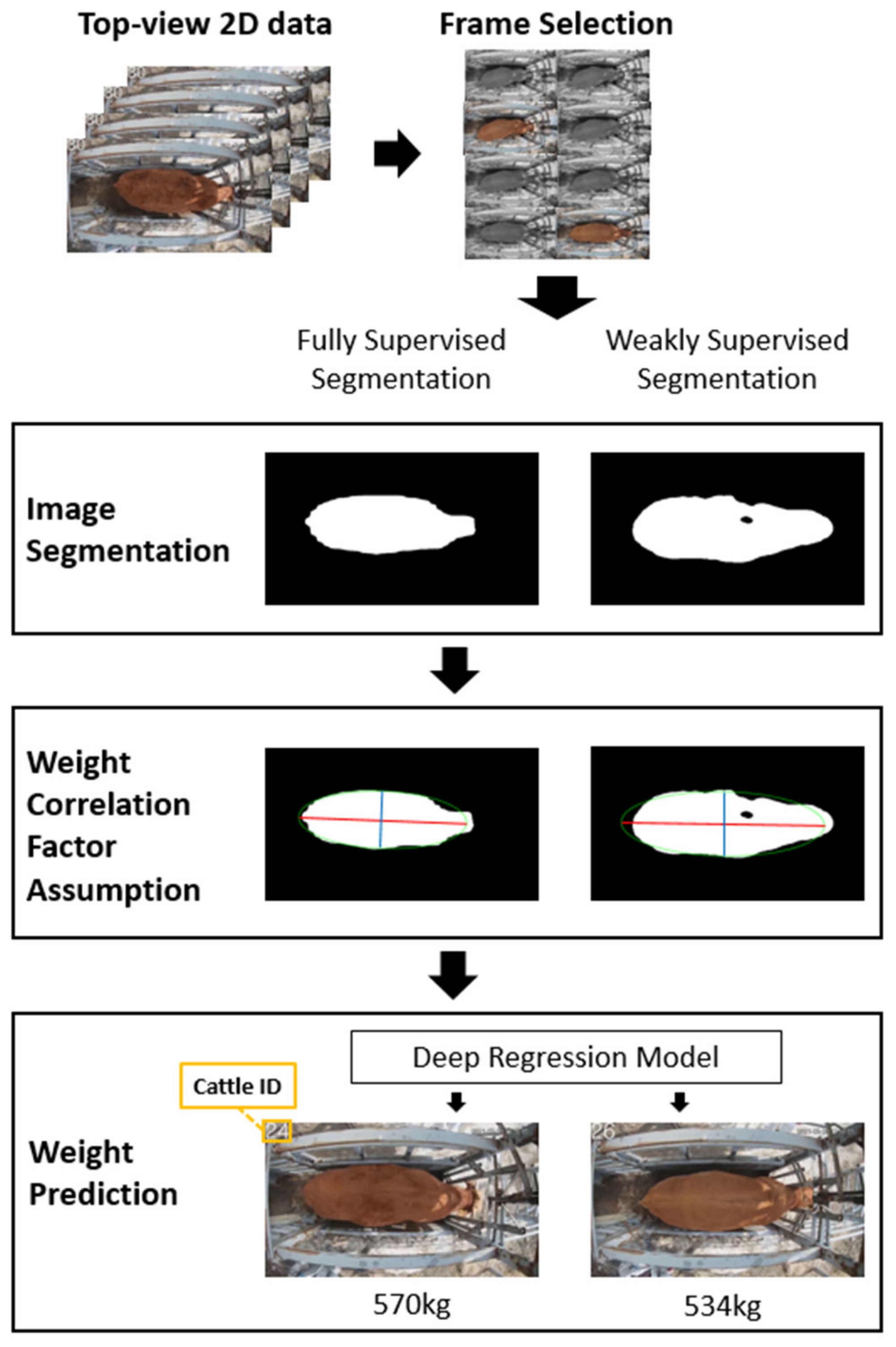 Applsci 13 02896 g002 Applsci 13 02896 g002