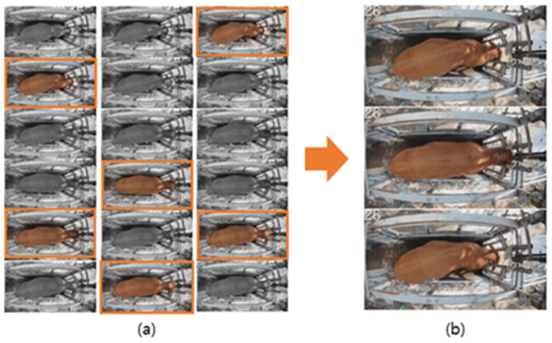 Applsci 13 02896 g004 Applsci 13 02896 g004