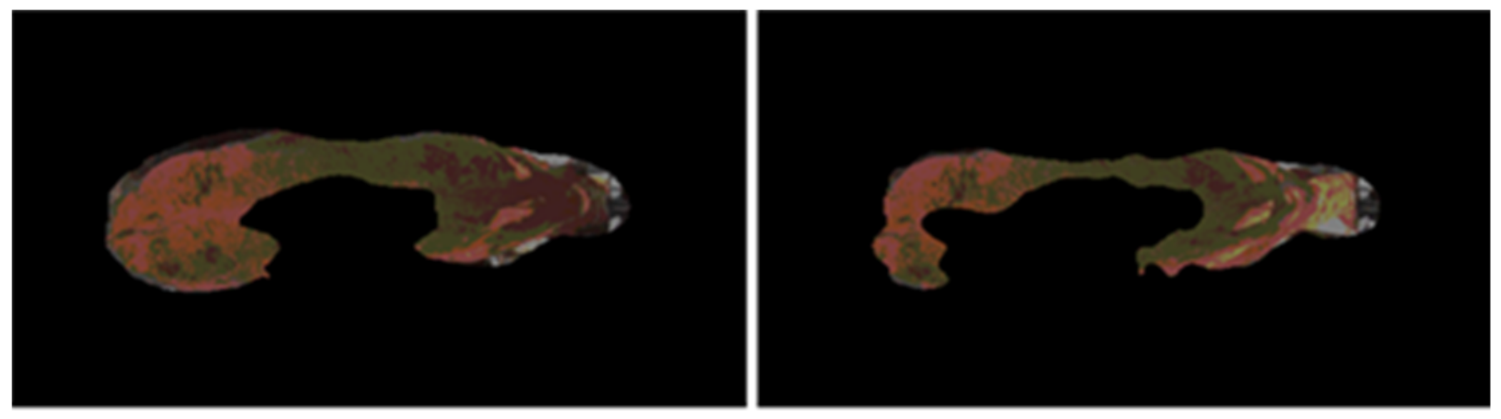 Applsci 13 02896 g008 Applsci 13 02896 g008