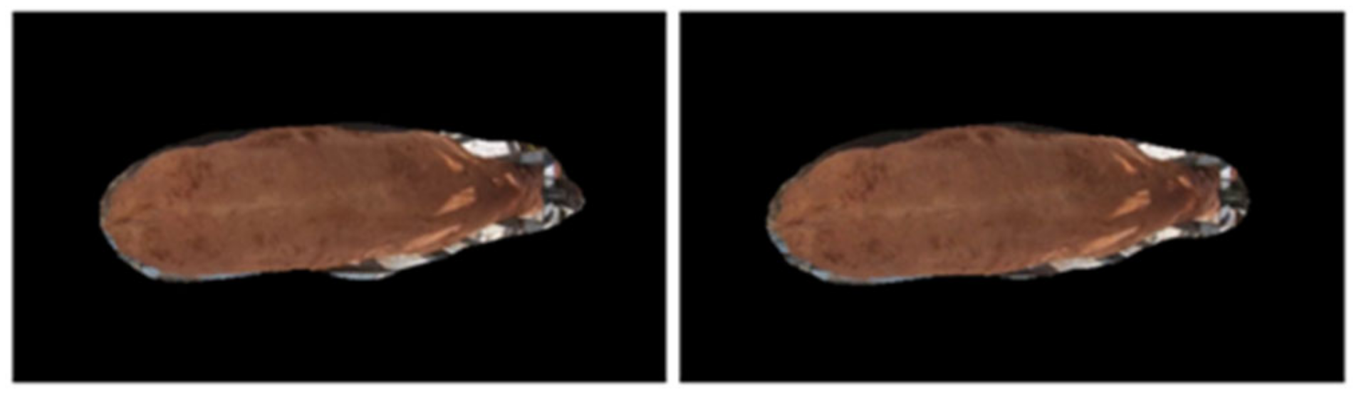 Applsci 13 02896 g010 Applsci 13 02896 g010