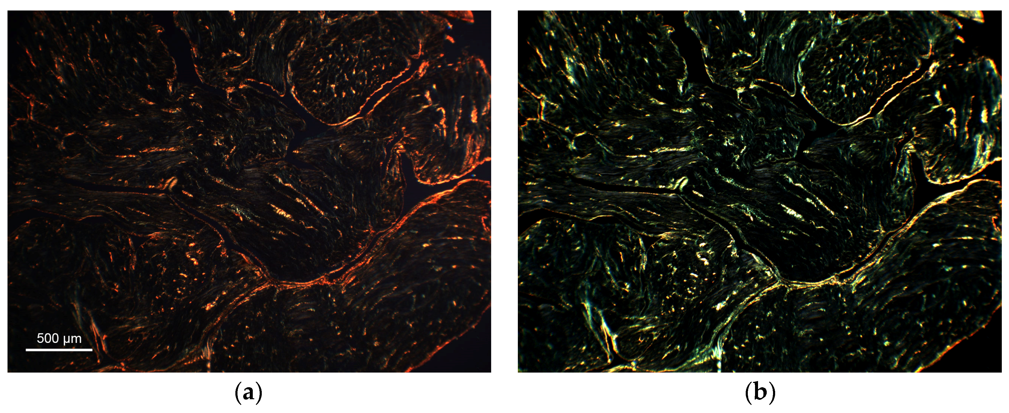 Applsci 13 02916 g004a