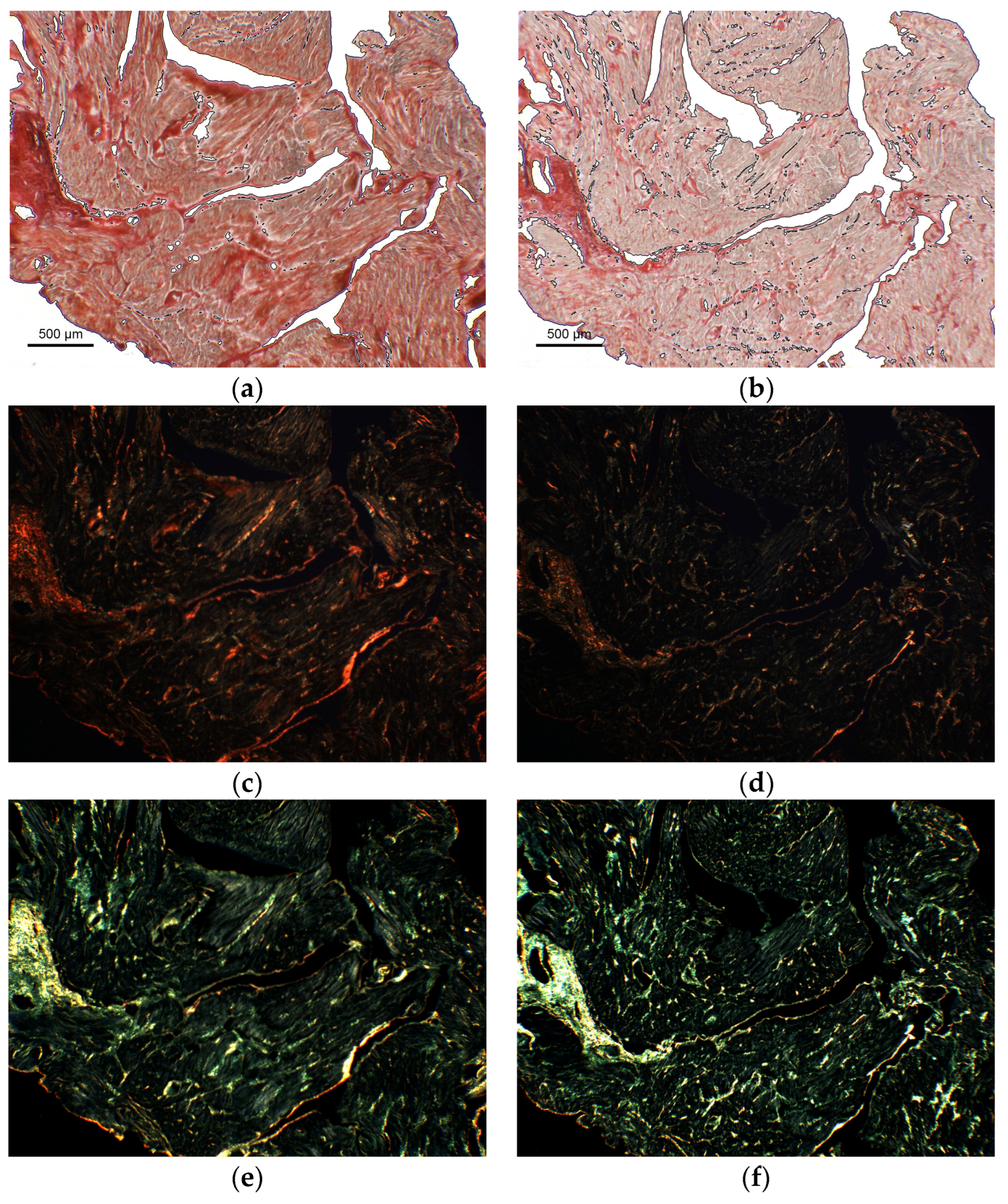 Applsci 13 02916 g005a