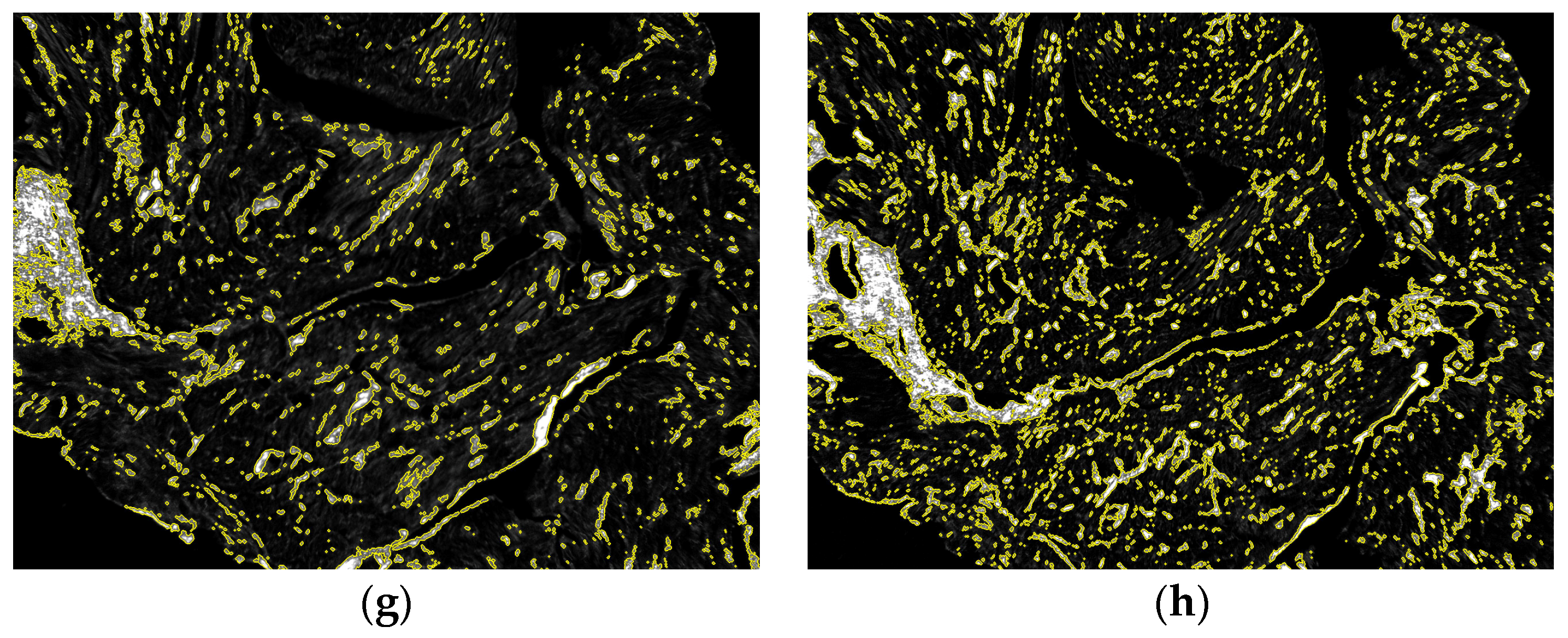 Applsci 13 02916 g005b