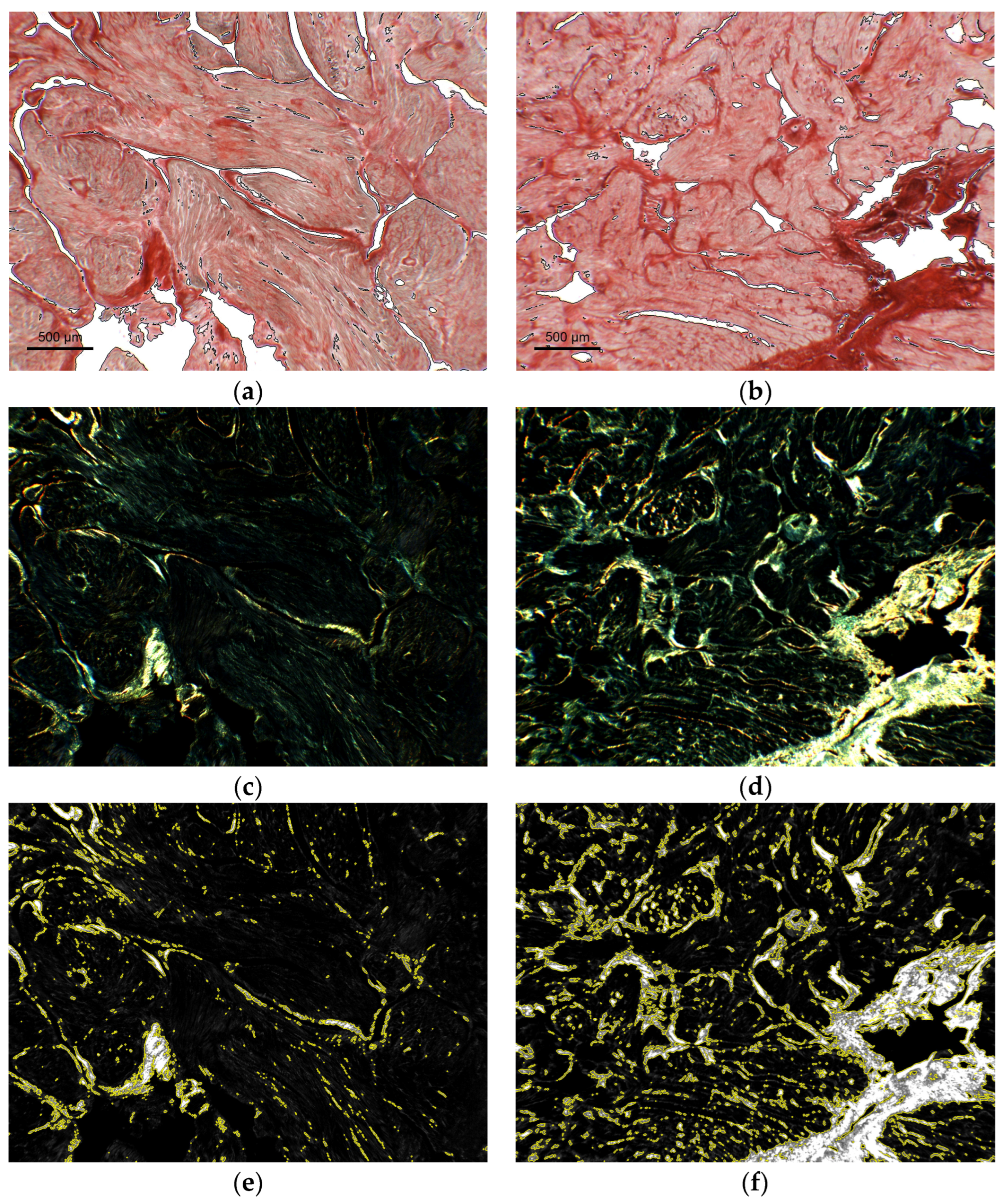 Applsci 13 02916 g006