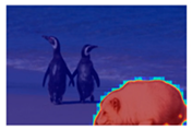Applsci 13 02922 i015