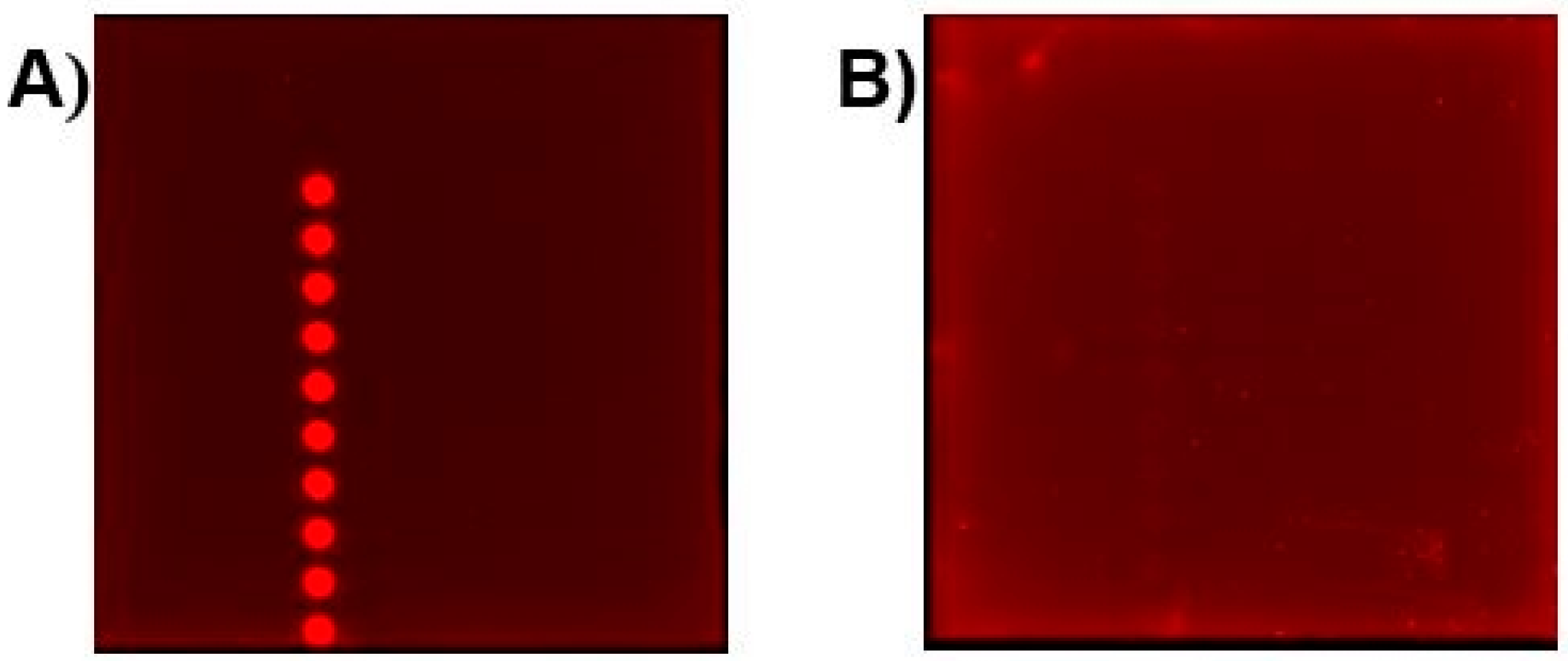 Applsci 13 02957 g001 Applsci 13 02957 g001