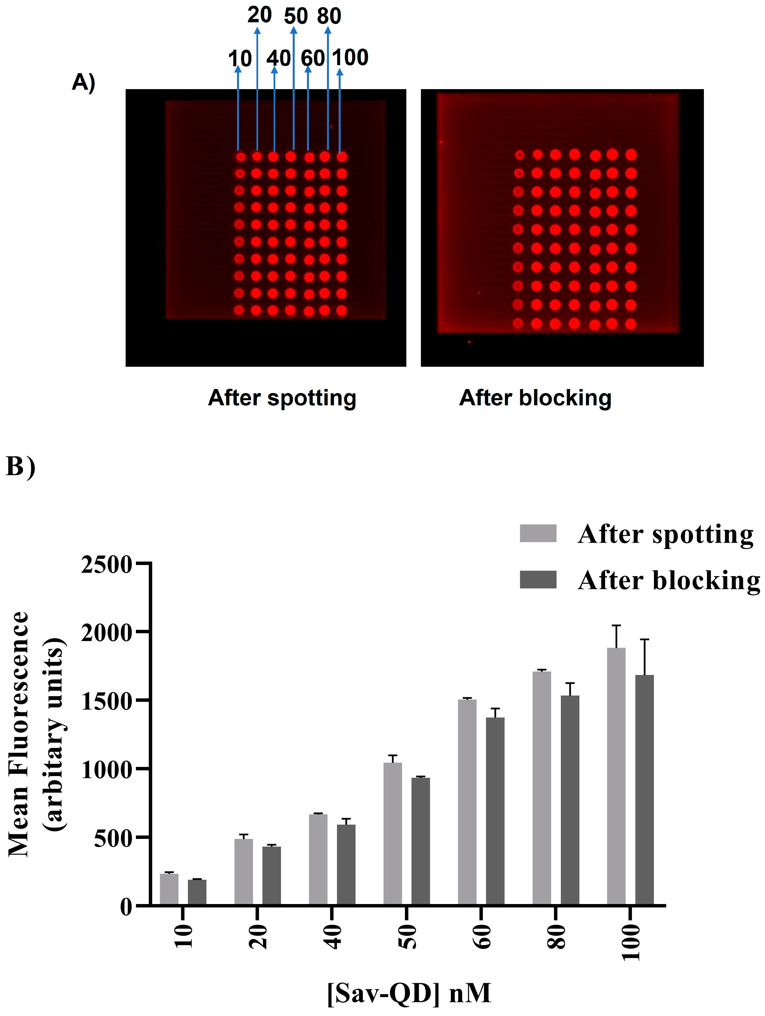 Applsci 13 02957 g002 Applsci 13 02957 g002