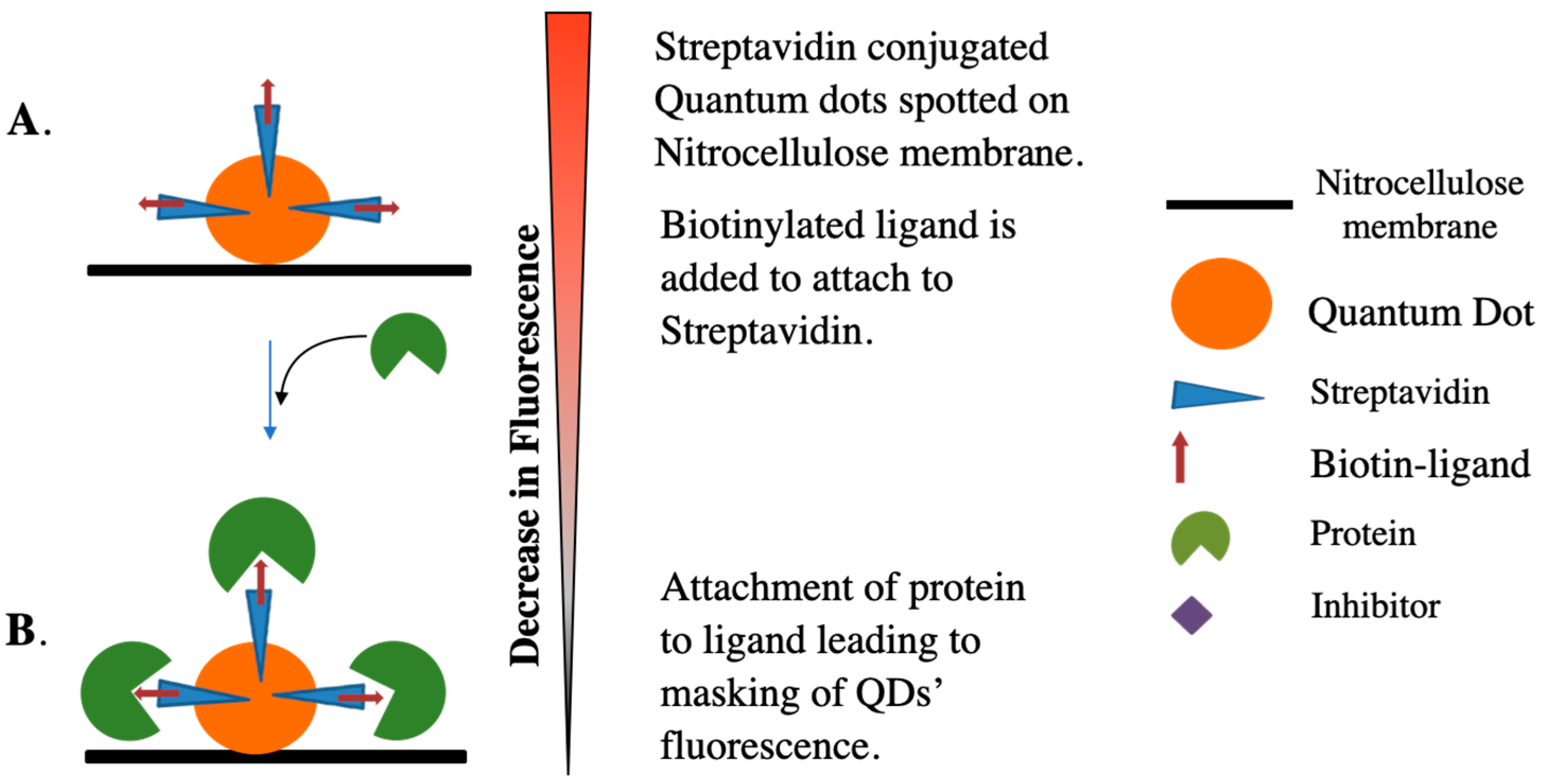 Applsci 13 02957 sch001 Applsci 13 02957 sch001