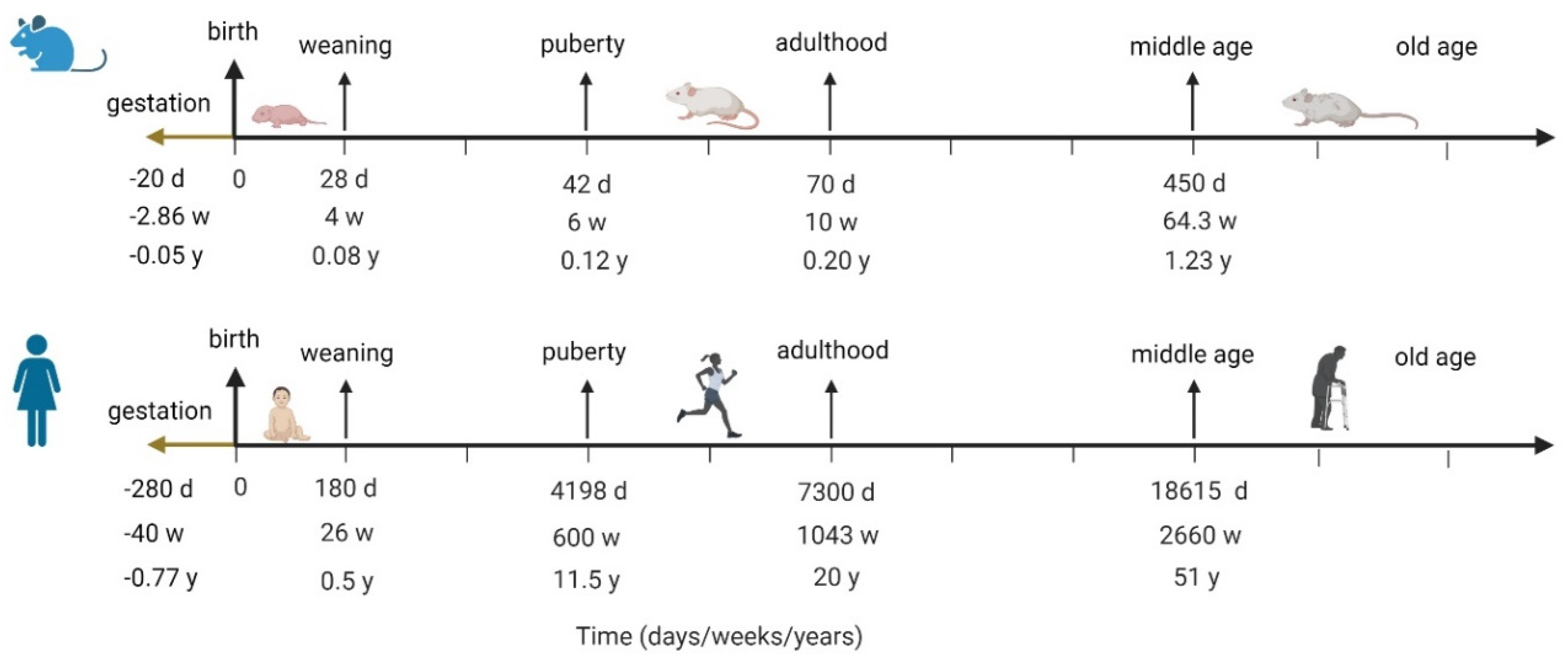 Applsci 13 02970 g002