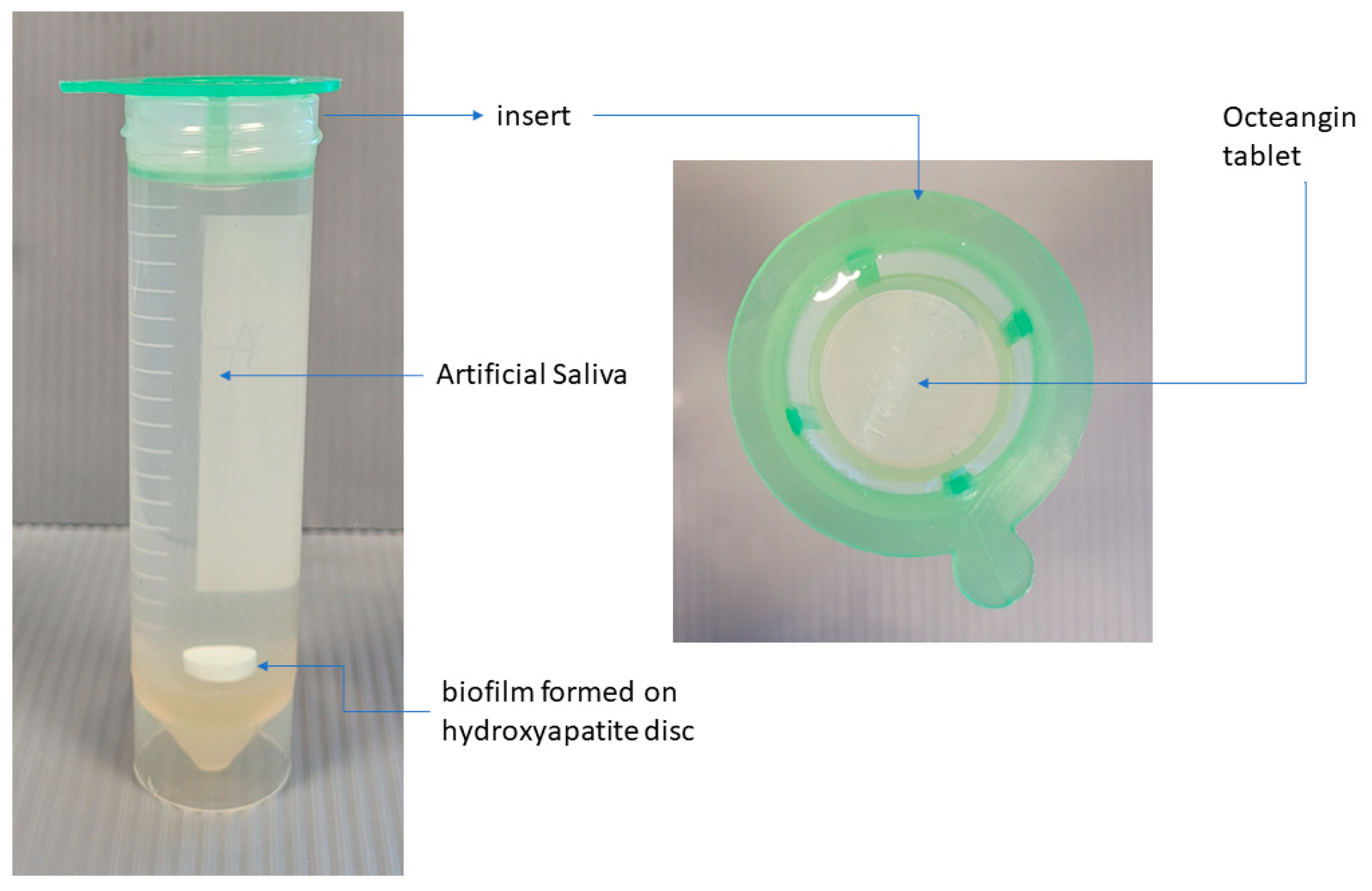 Applsci 13 02974 g001