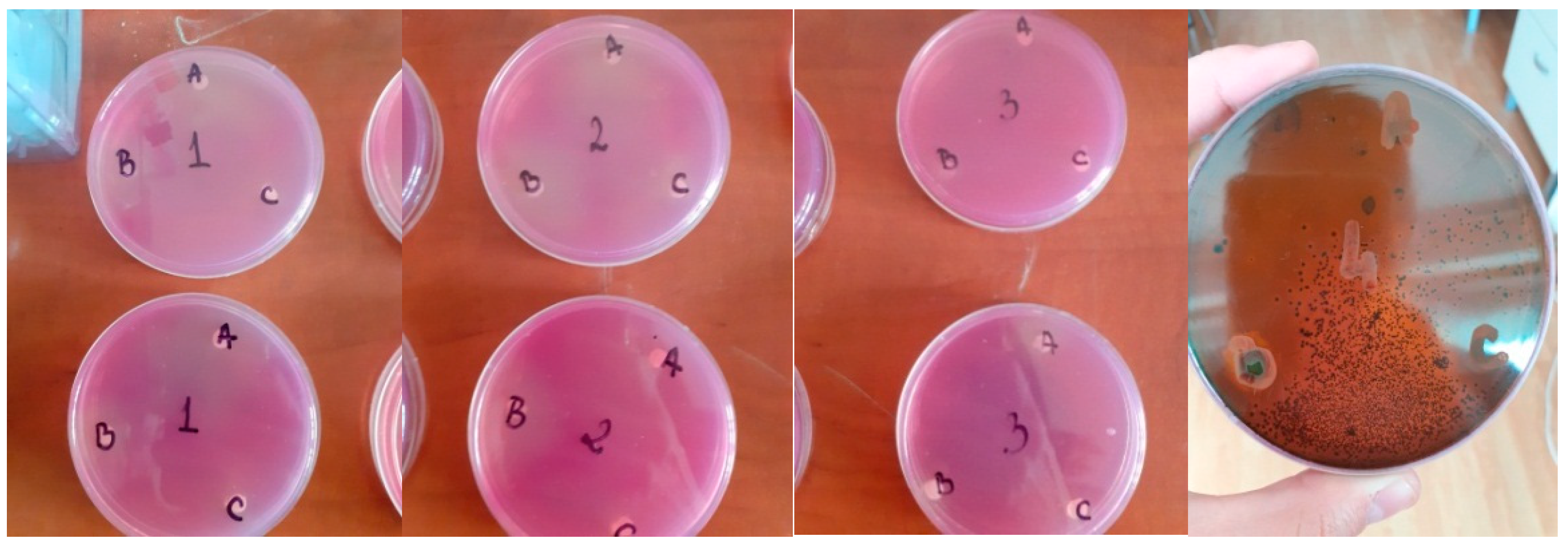 Applsci 13 02993 g001