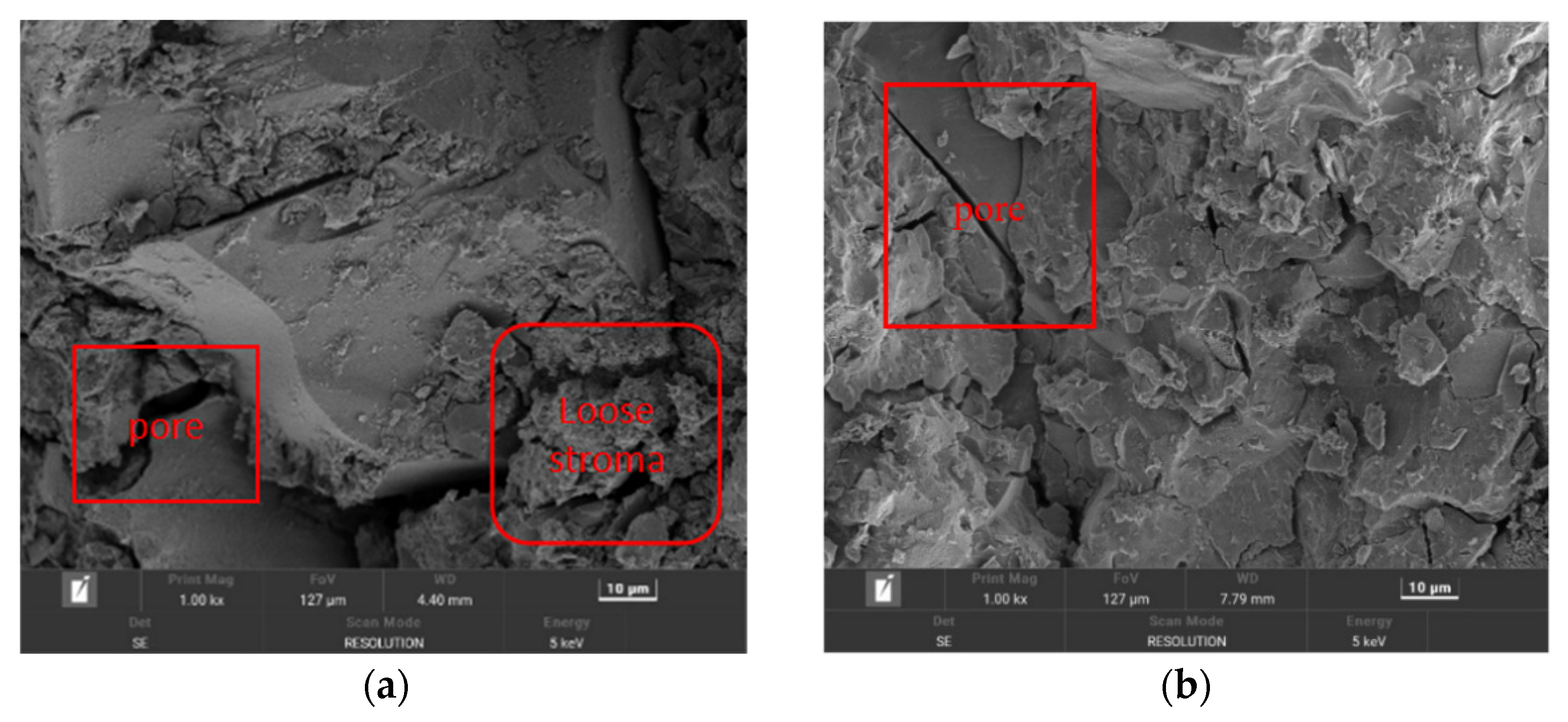 Applsci 13 02997 g020 Applsci 13 02997 g020