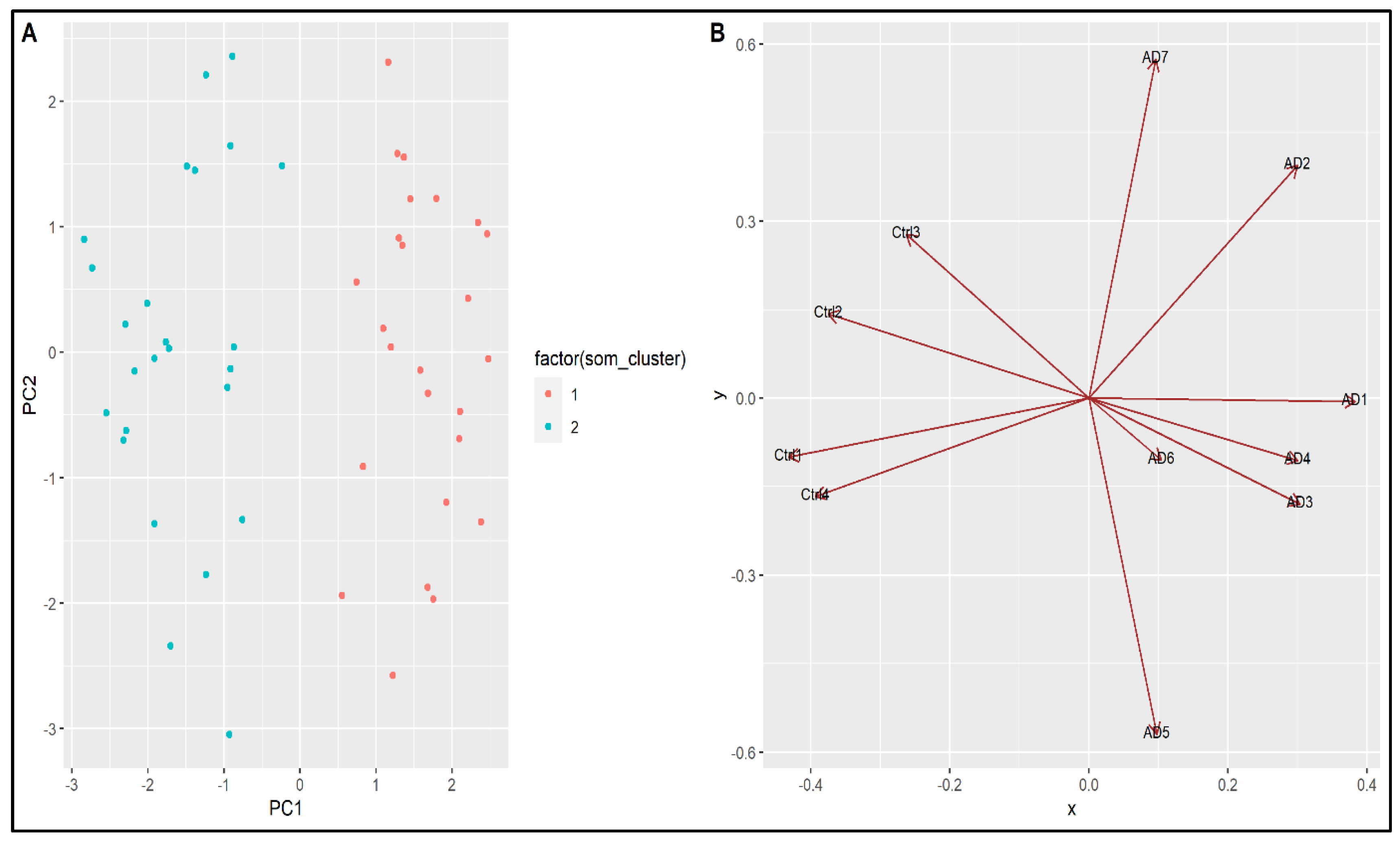 Applsci 13 03071 g003