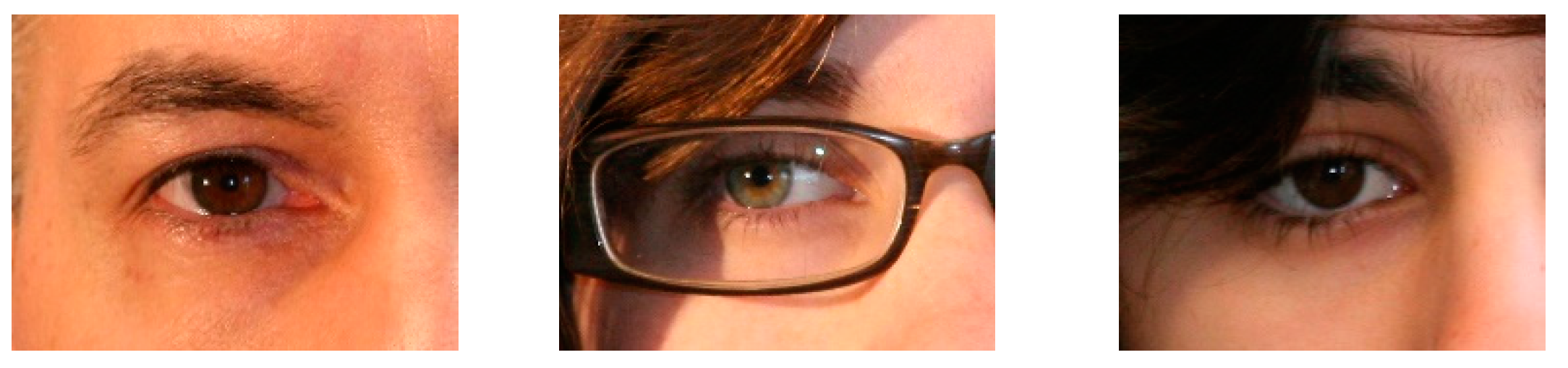 Applsci 13 03116 g002