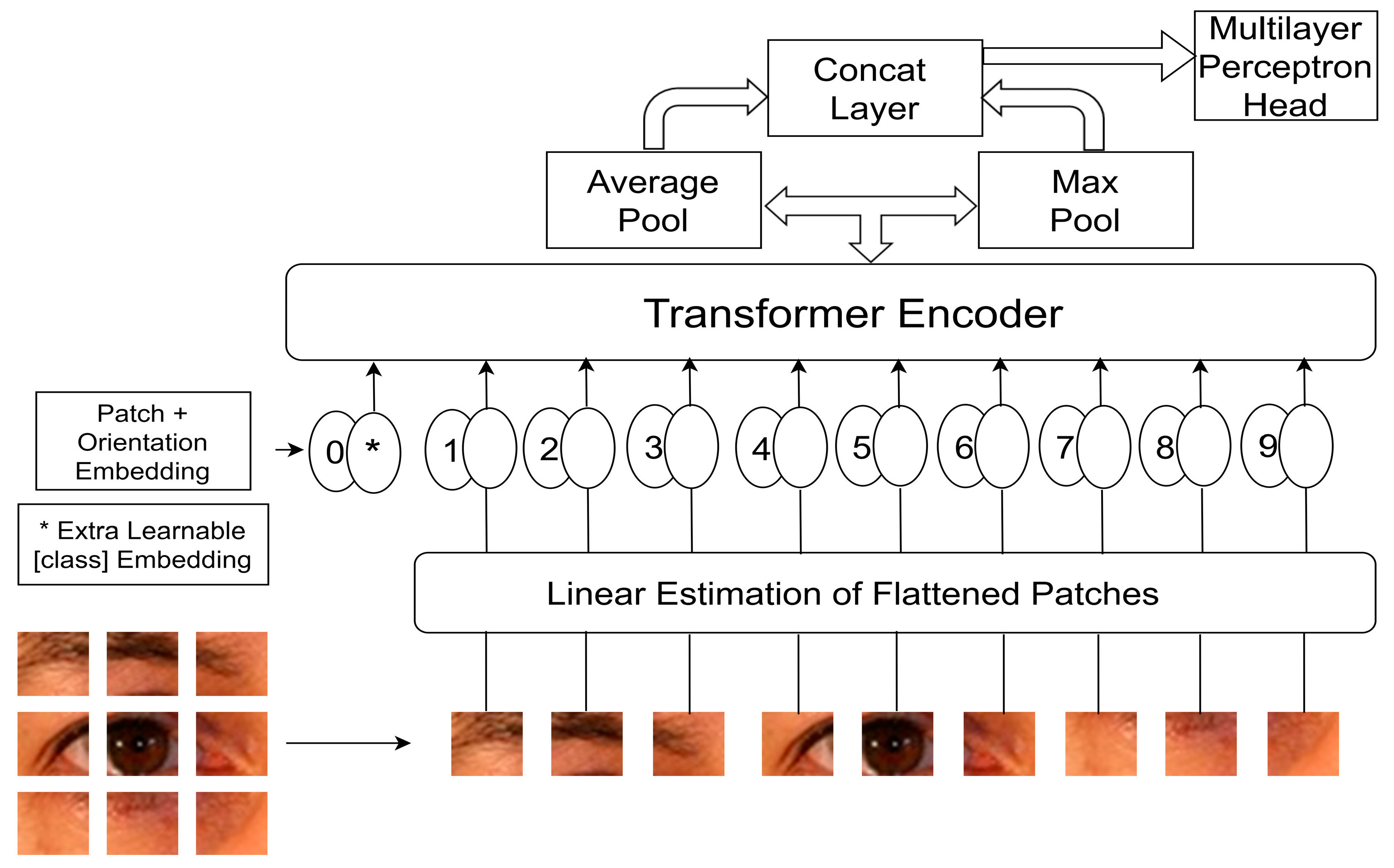 Applsci 13 03116 g006