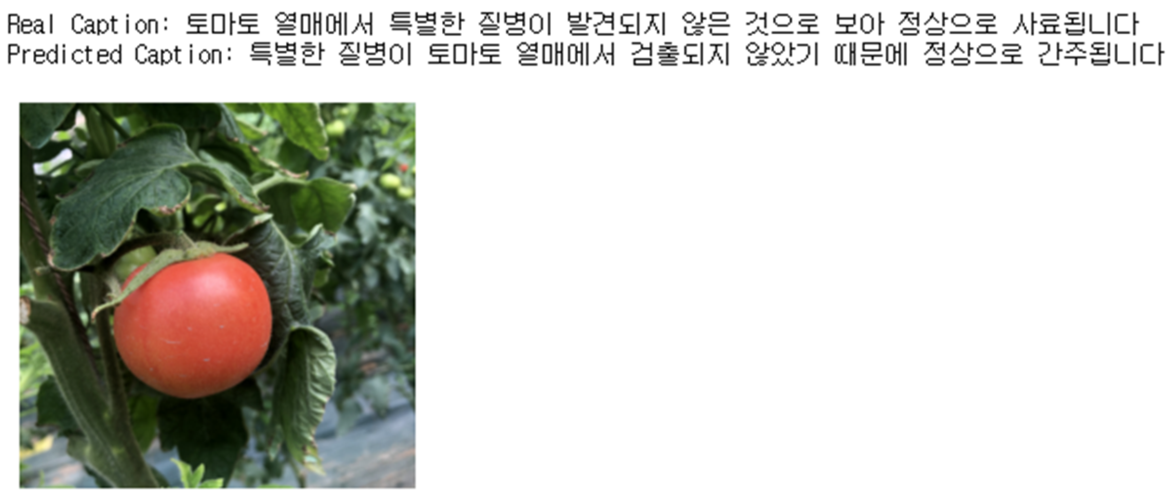 Applsci 13 03148 g015